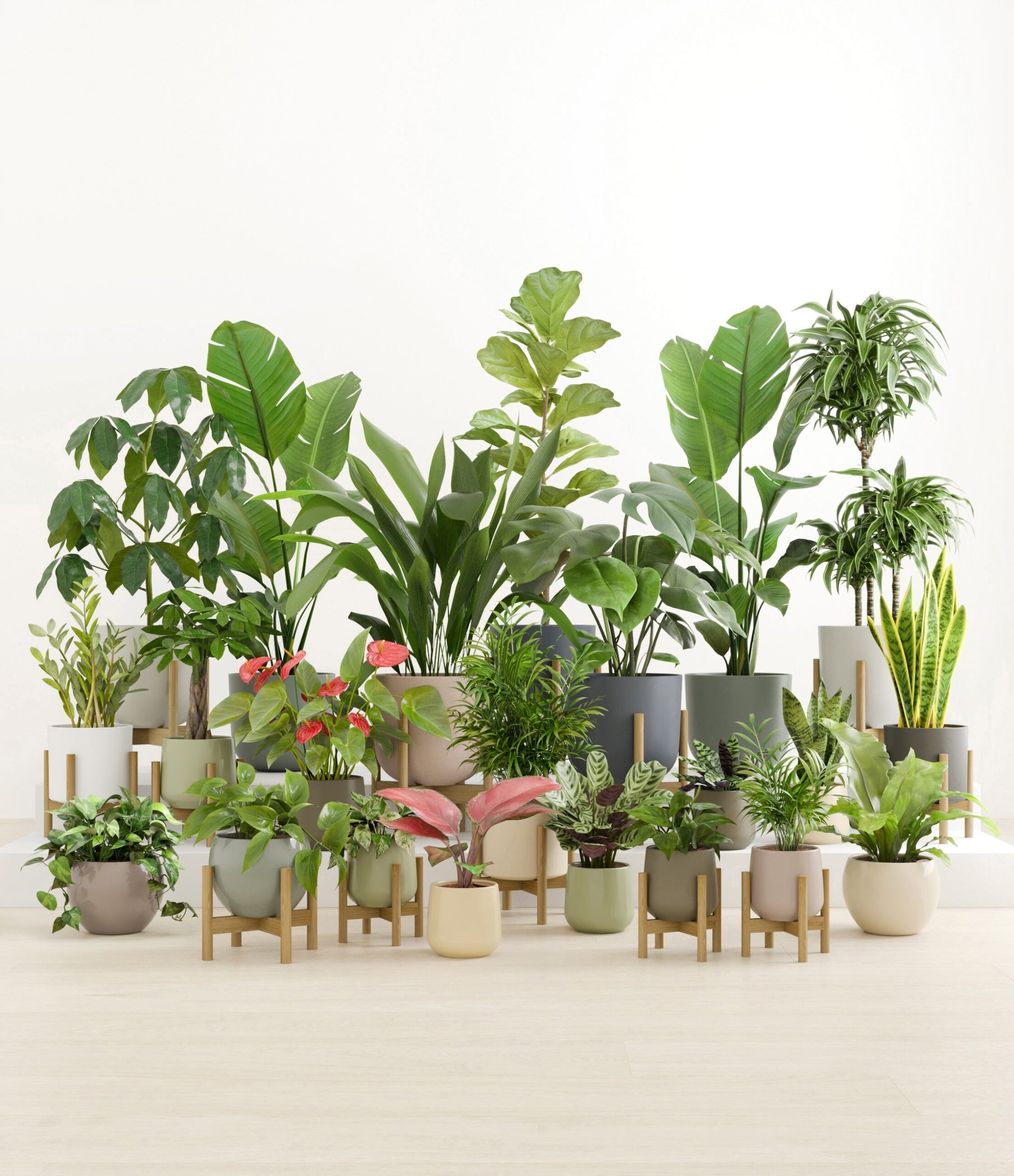 The_Natural_Sanctuary_studio_countryside_13_stands.jpg
