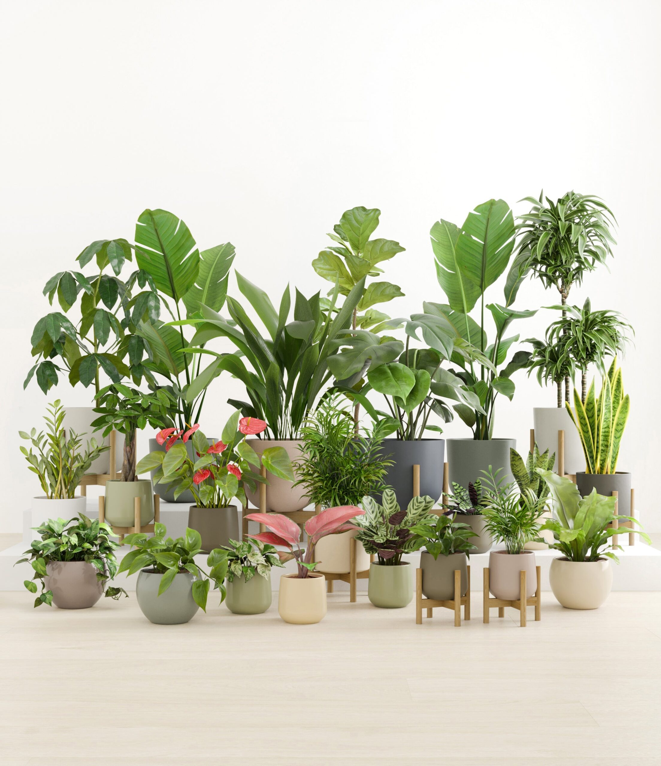 The_Natural_Sanctuary_studio_countryside_9_stands.jpg