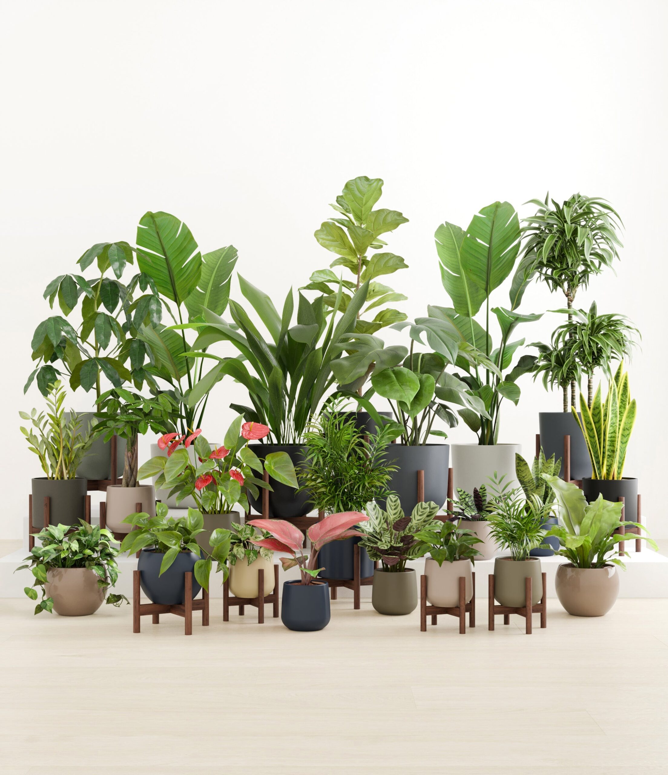 The_Natural_Sanctuary_studio_winding_river_13_stands.jpg