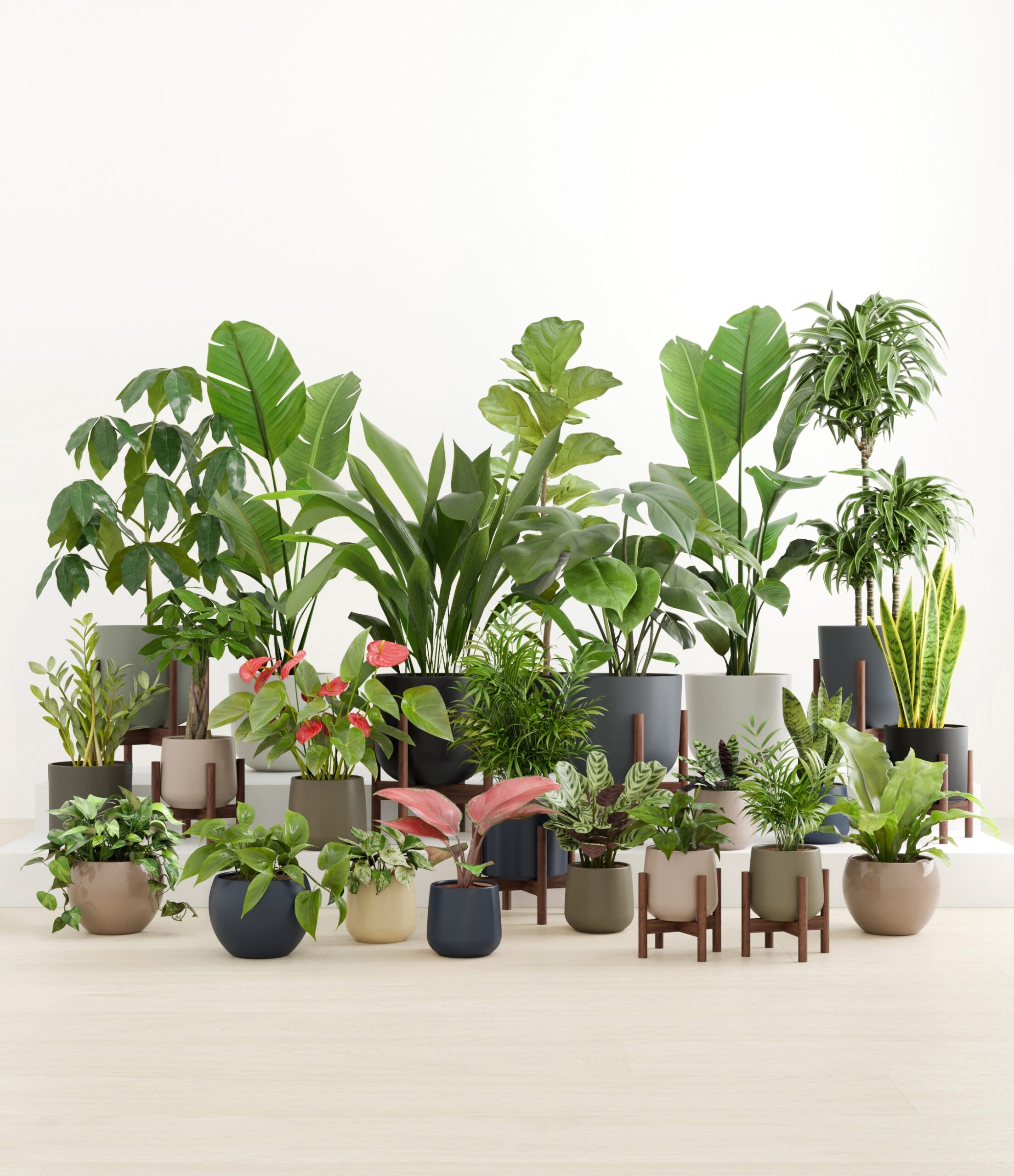 The_Natural_Sanctuary_studio_winding_river_9_stands.jpg