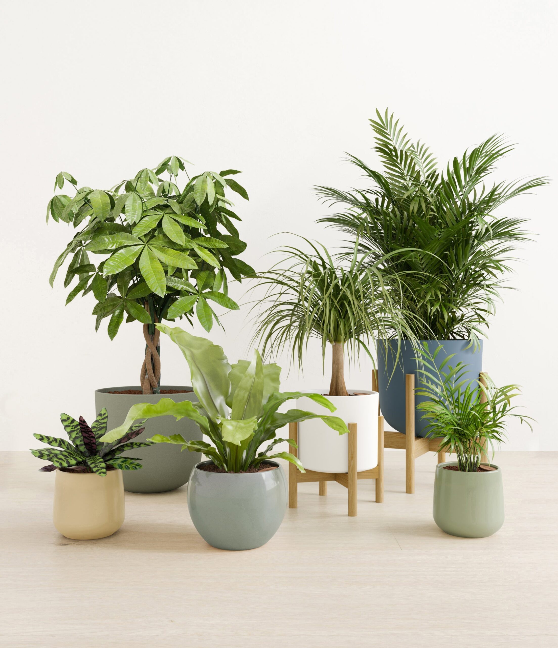 The_Serene_Kingdom_earthy_2_stands_3cf81420-fabe-4c40-ac93-84a4f06bc7a6.jpg