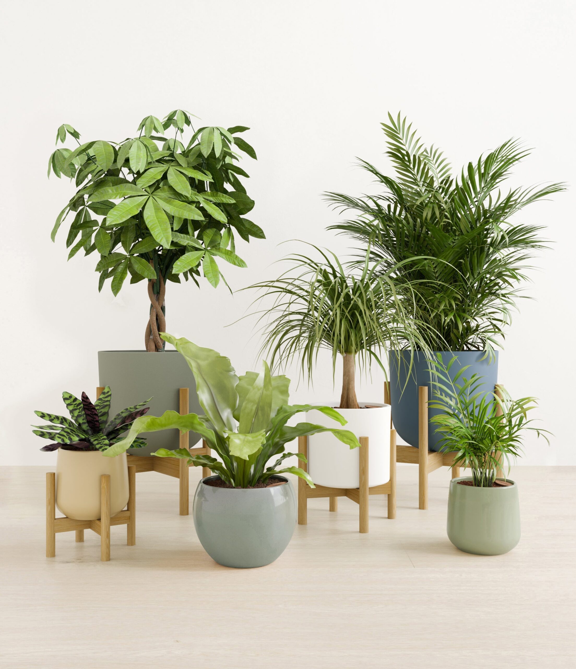 The_Serene_Kingdom_earthy_4_stands_6ab07df8-c32d-4cdf-9a59-f4d7268e722c.jpg