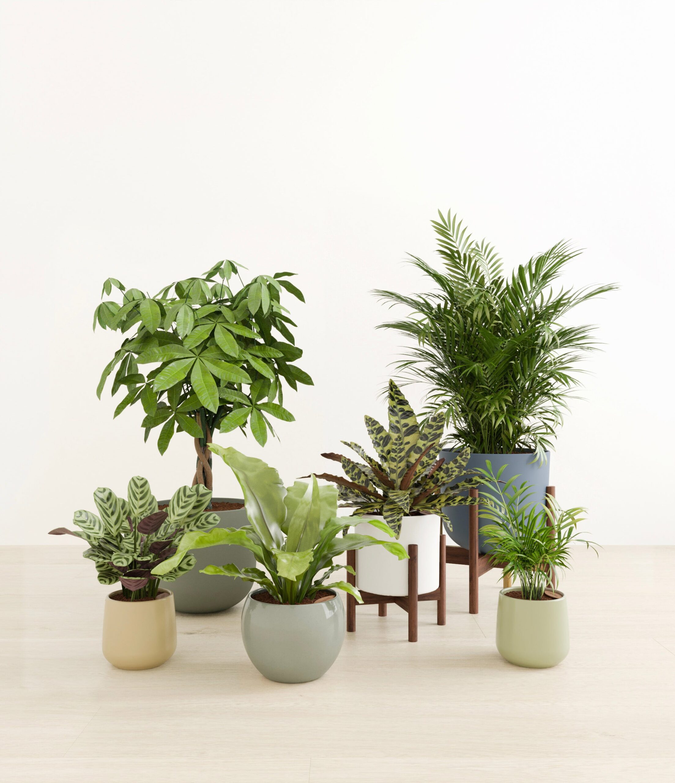 The_Serene_Kingdom_studio_earthy_2_stands_copy.jpg
