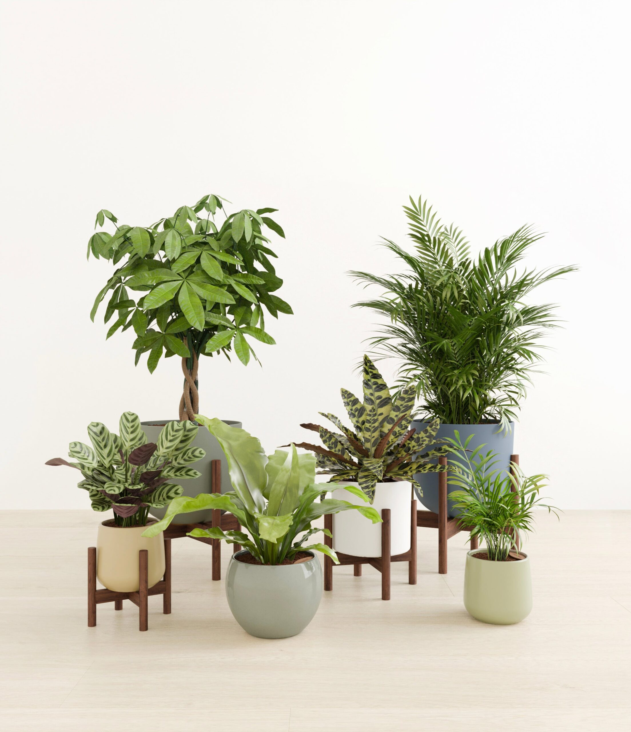 The_Serene_Kingdom_studio_earthy_4_stands_copy.jpg