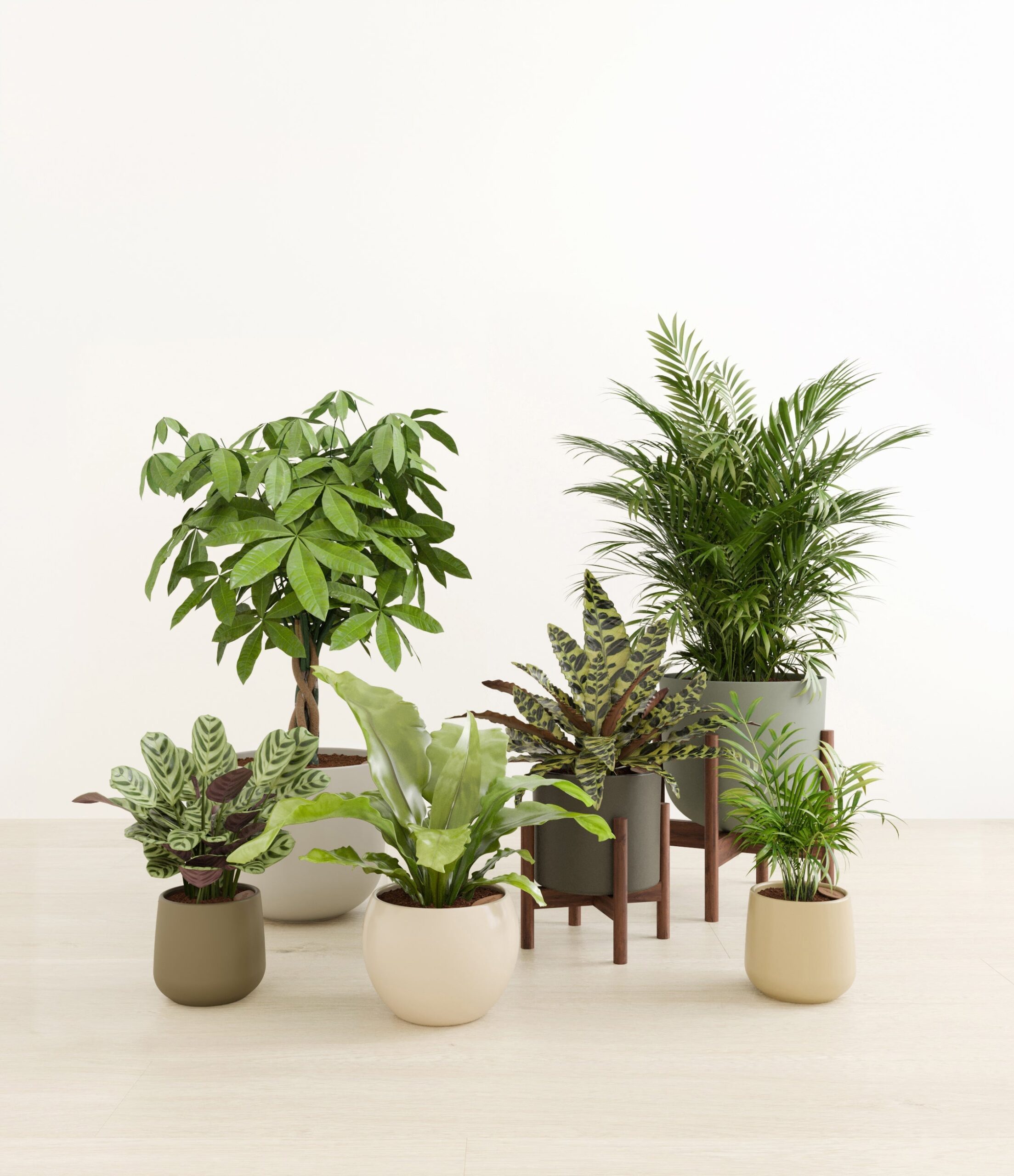 The_Serene_Kingdom_studio_woodland_2_stands.jpg