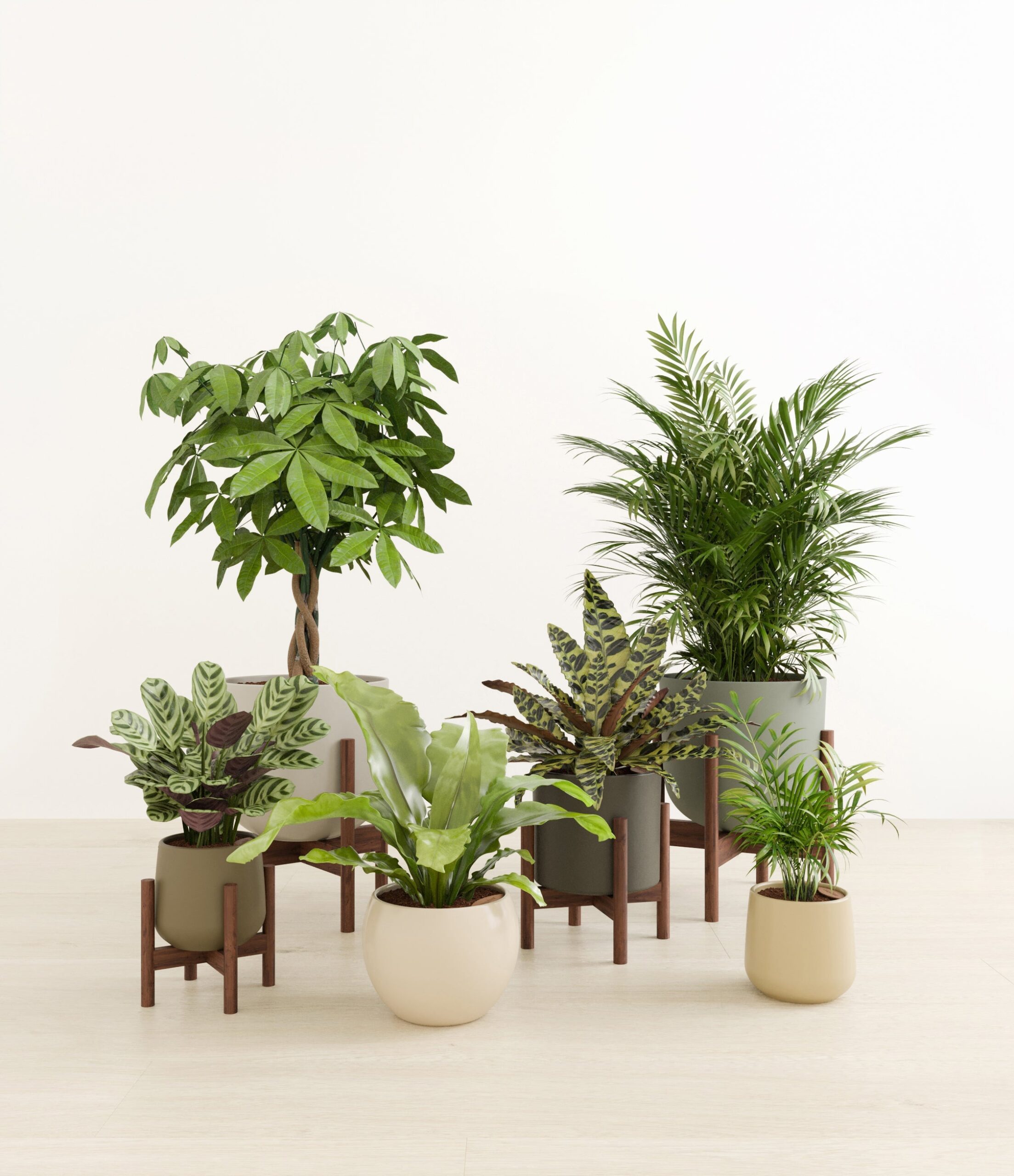 The_Serene_Kingdom_studio_woodland_4_stands.jpg