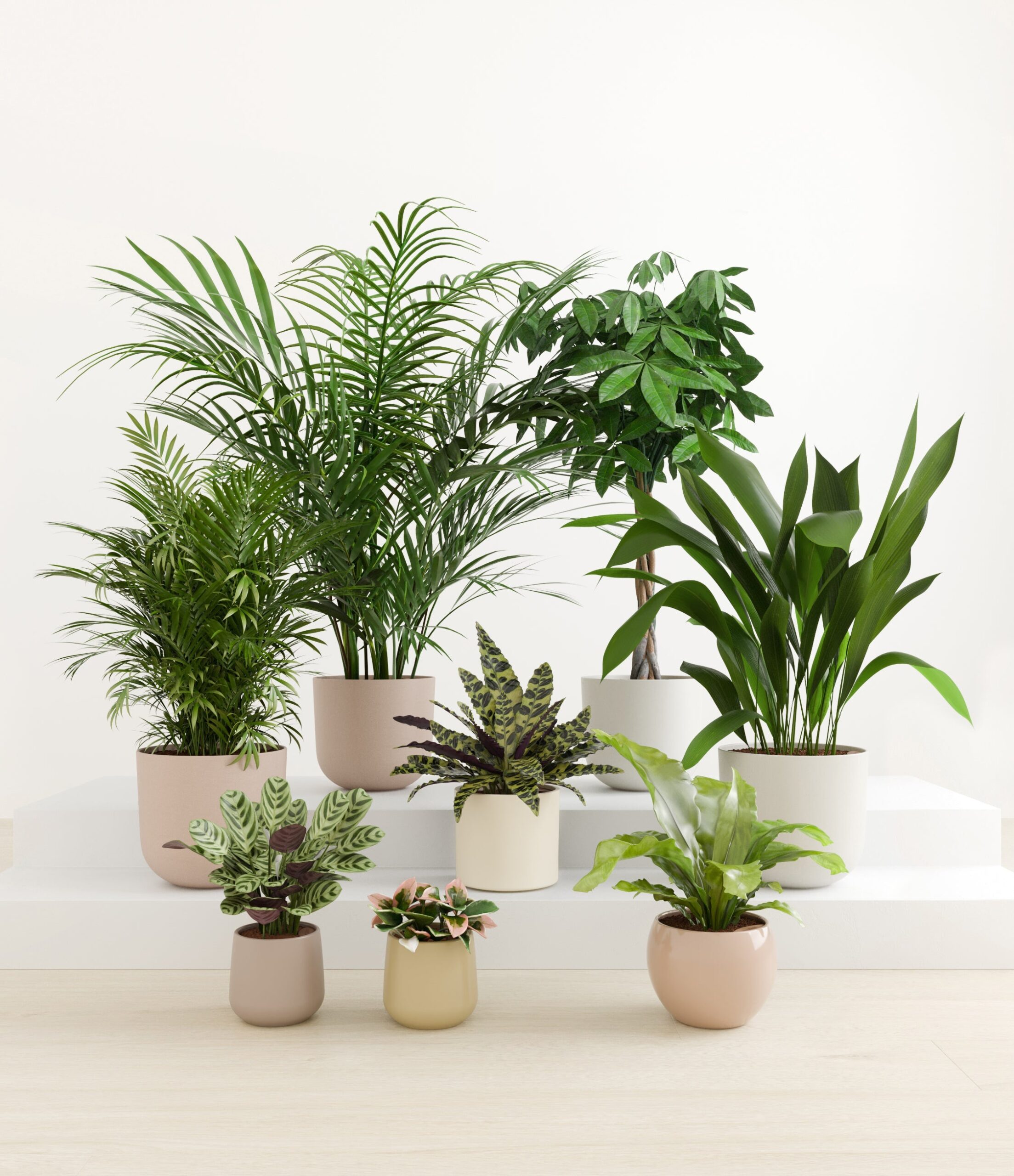 The_Tropical_Haven_studio_sandy.jpg