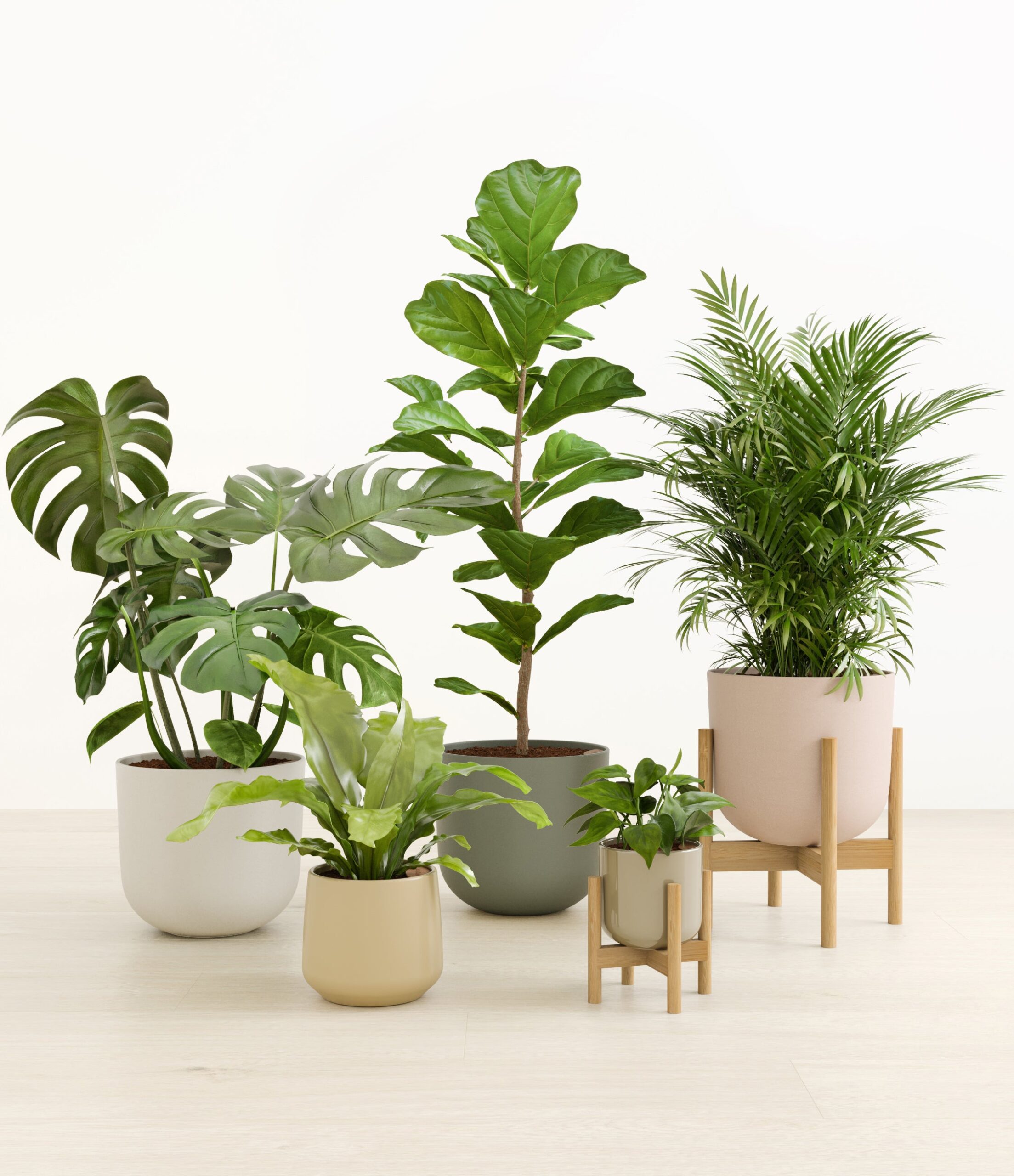 Treasured_Stars_woodland_palette_2_stands_be2c09ee-7fcd-4f1d-9c1f-ae6dfa7dc2cb.jpg