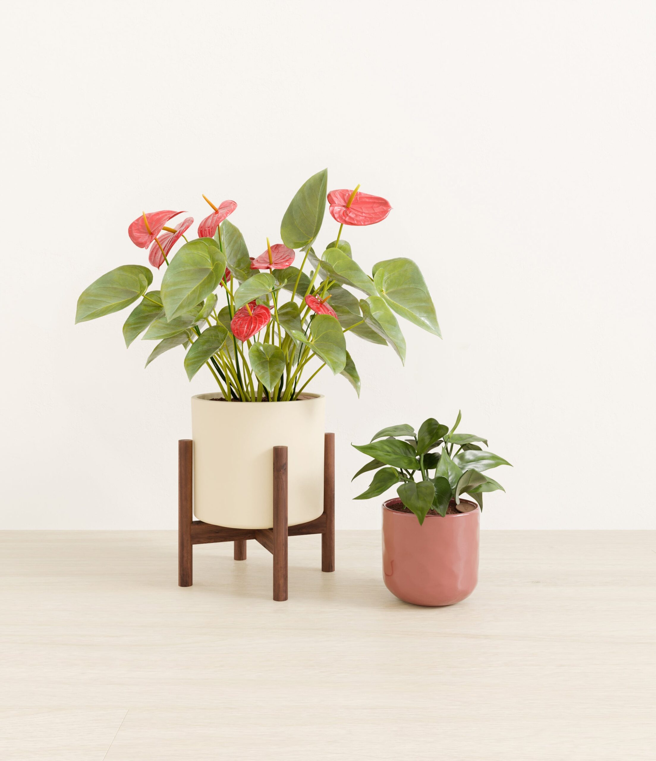 Vibrant_Valentines_USA_studio_blush_ivory_palette_1_stands.jpg