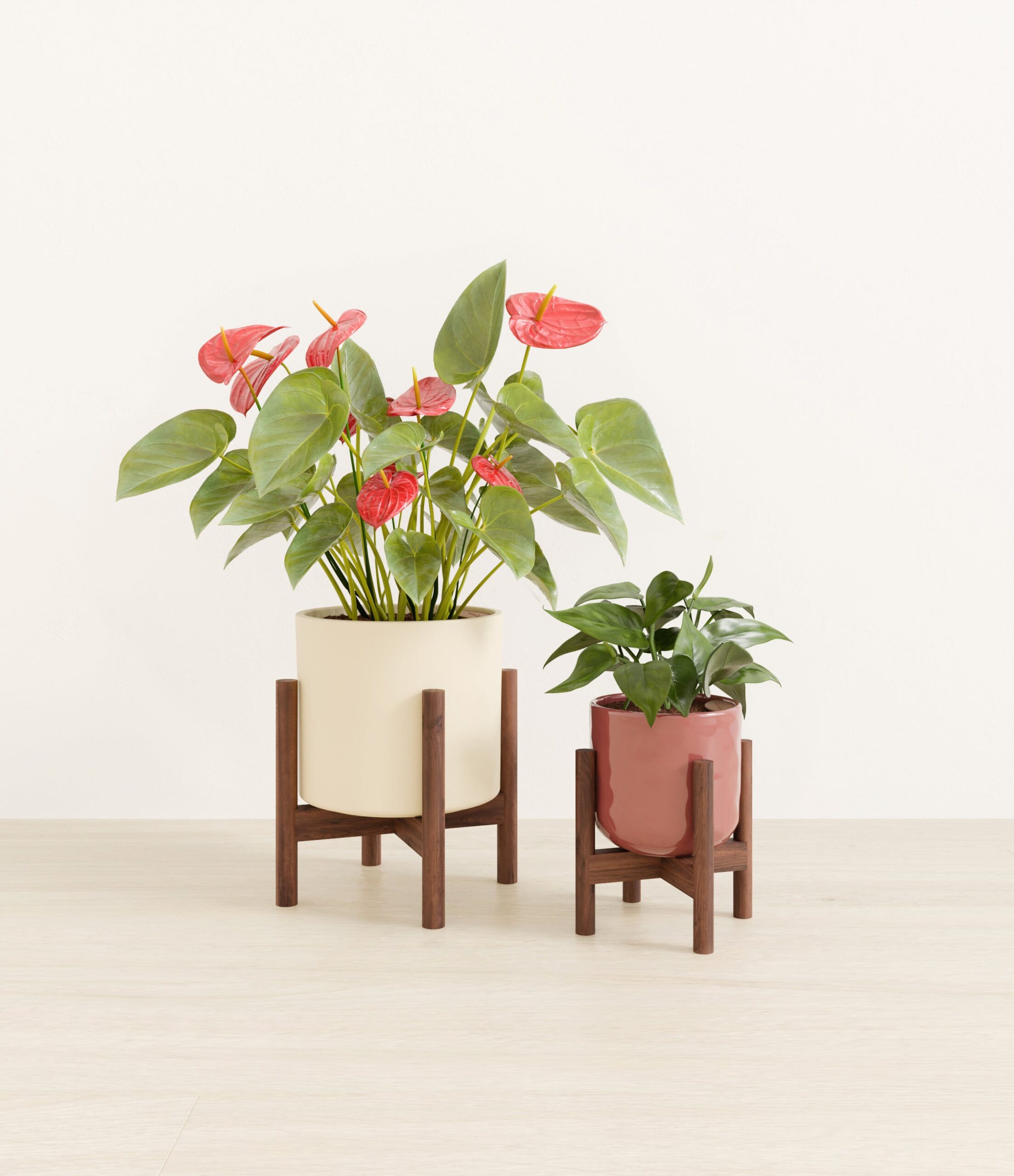 Vibrant_Valentines_USA_studio_blush_ivory_palette_2_stands.jpg