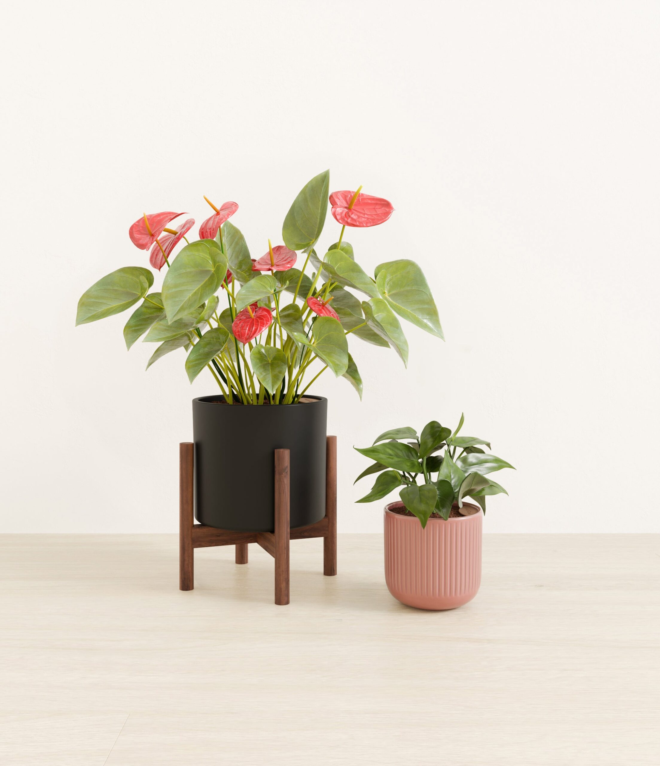 Vibrant_Valentines_USA_studio_midnight_rose_palette_1_stands.jpg