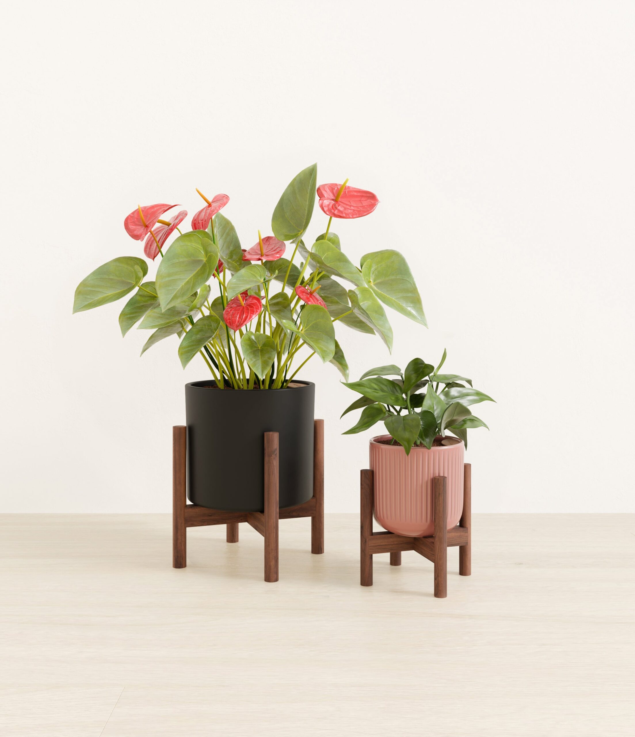 Vibrant_Valentines_USA_studio_midnight_rose_palette_2_stands.jpg