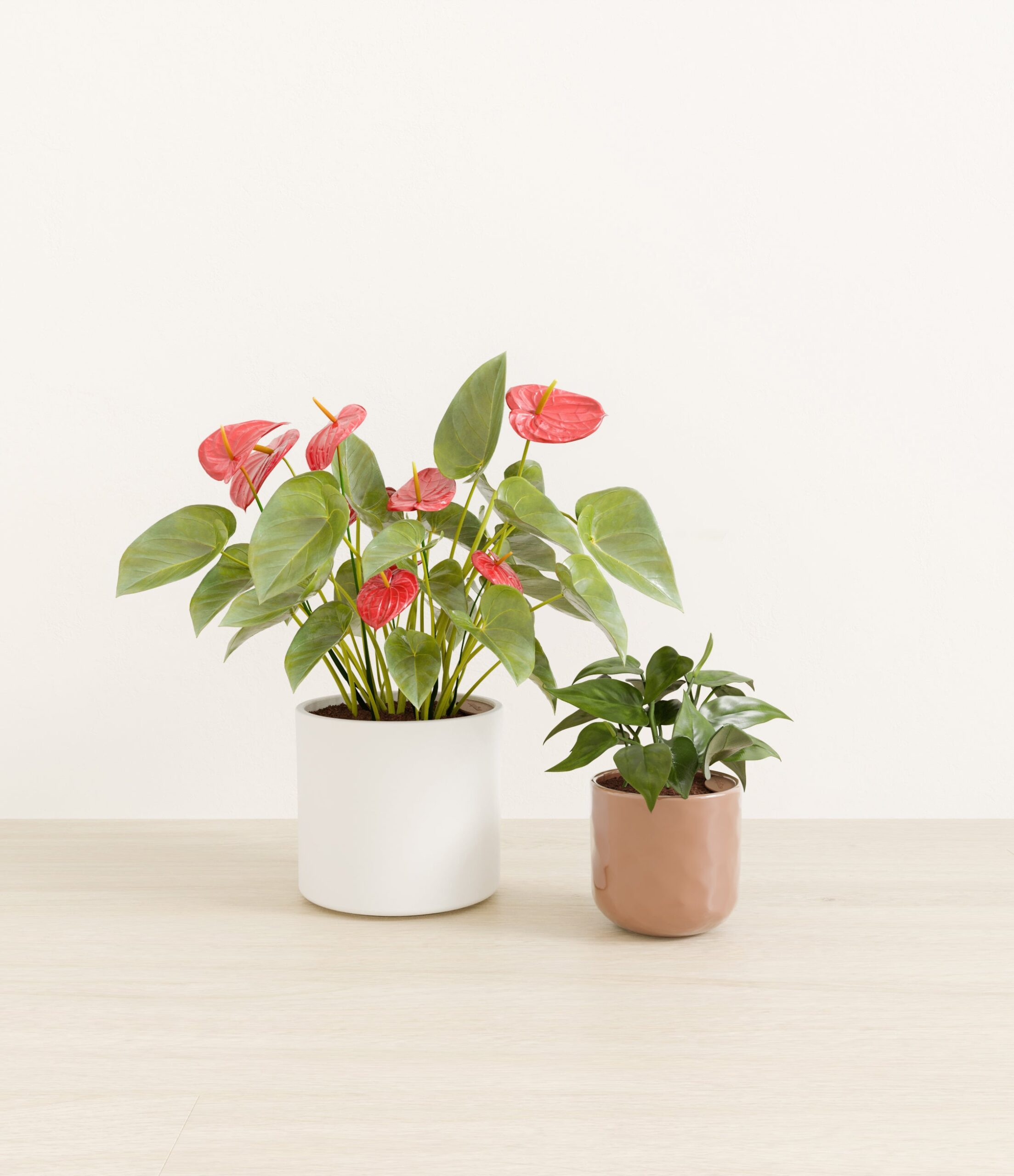 Vibrant_Valentines_USA_studio_peach_frost_palette_0_stands.jpg