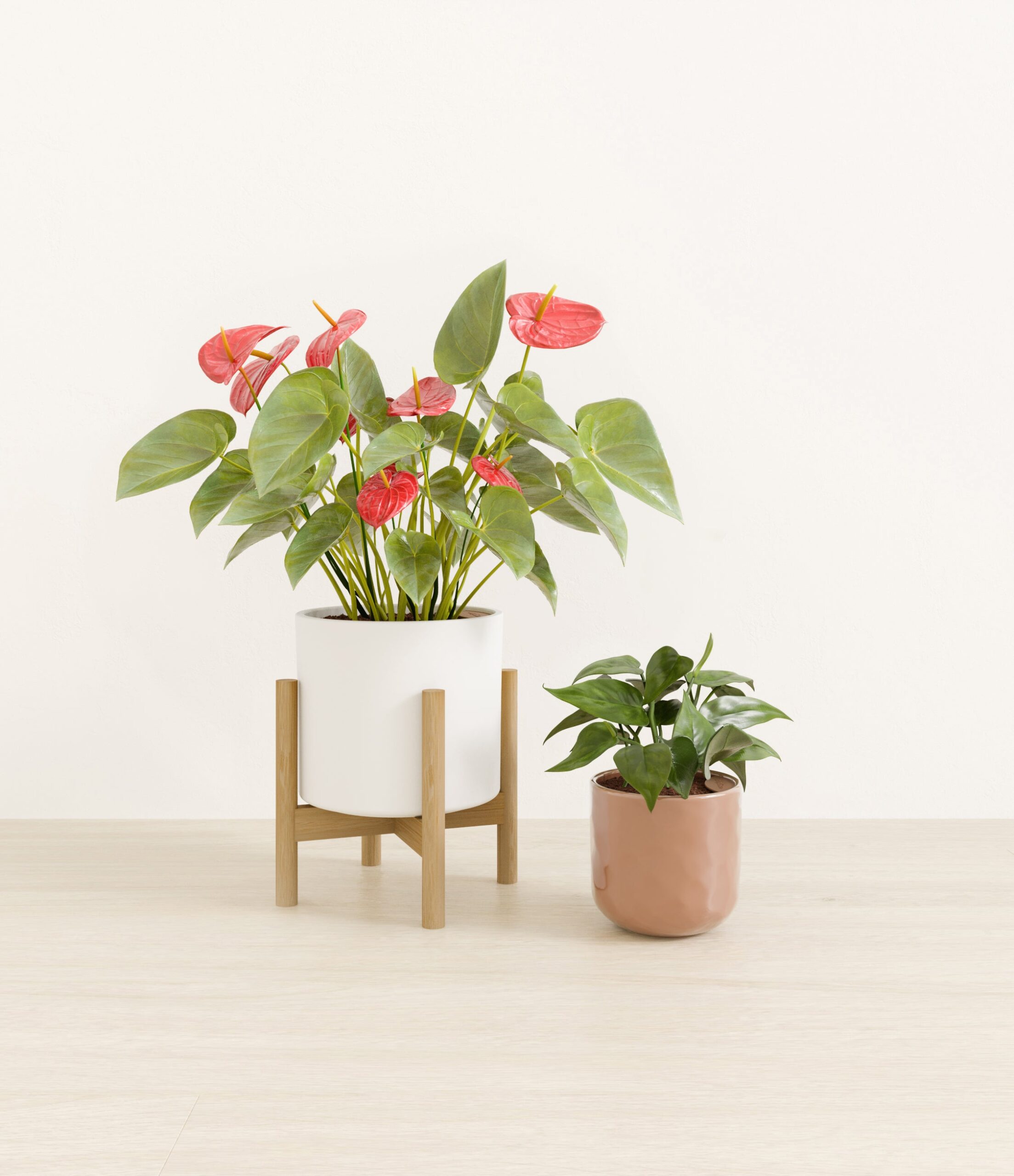 Vibrant_Valentines_USA_studio_peach_frost_palette_1_stands.jpg