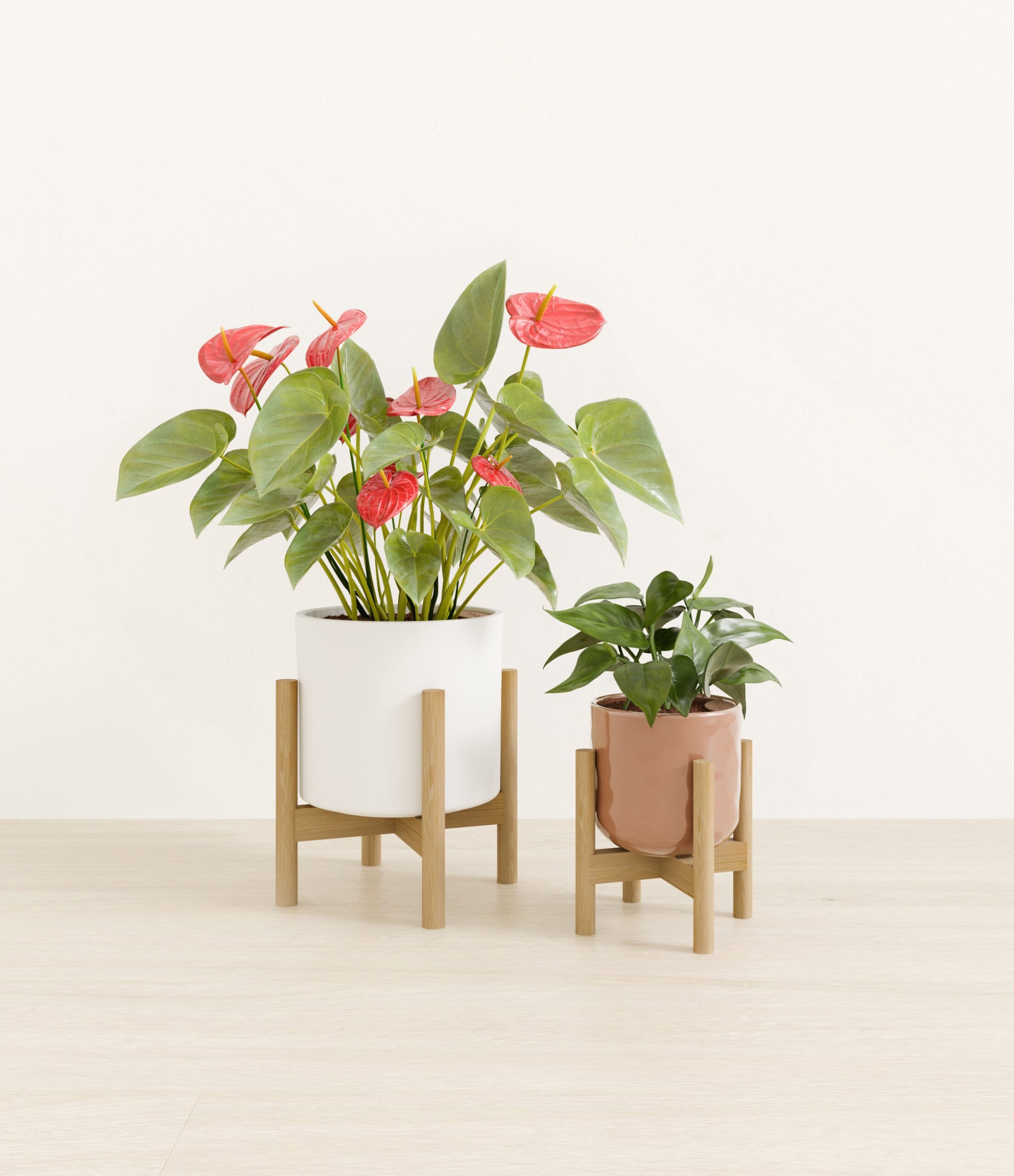 Vibrant_Valentines_USA_studio_peach_frost_palette_2_stands.jpg