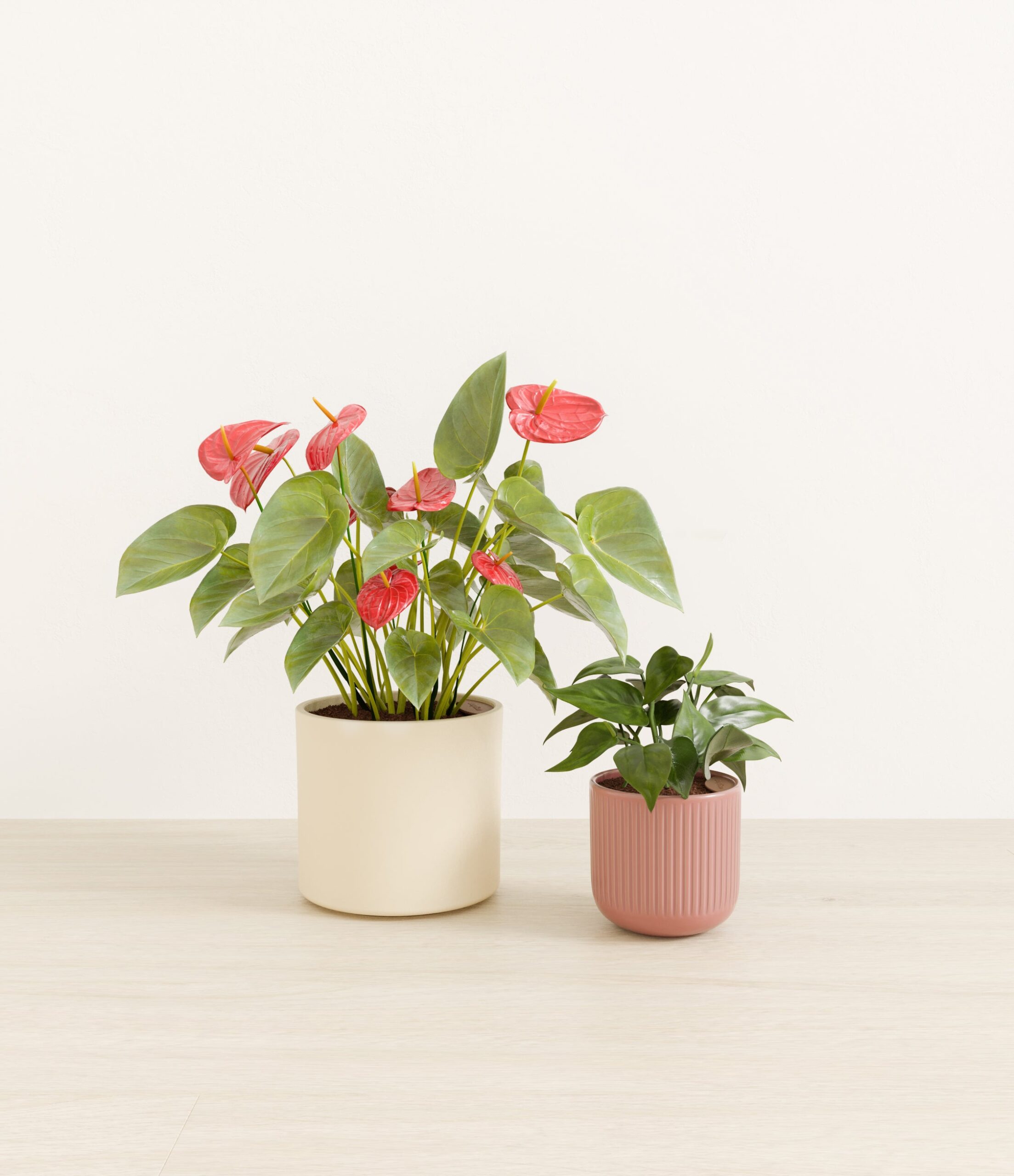 Vibrant_Valentines_USA_studio_rose_linen_palette_0_stands.jpg