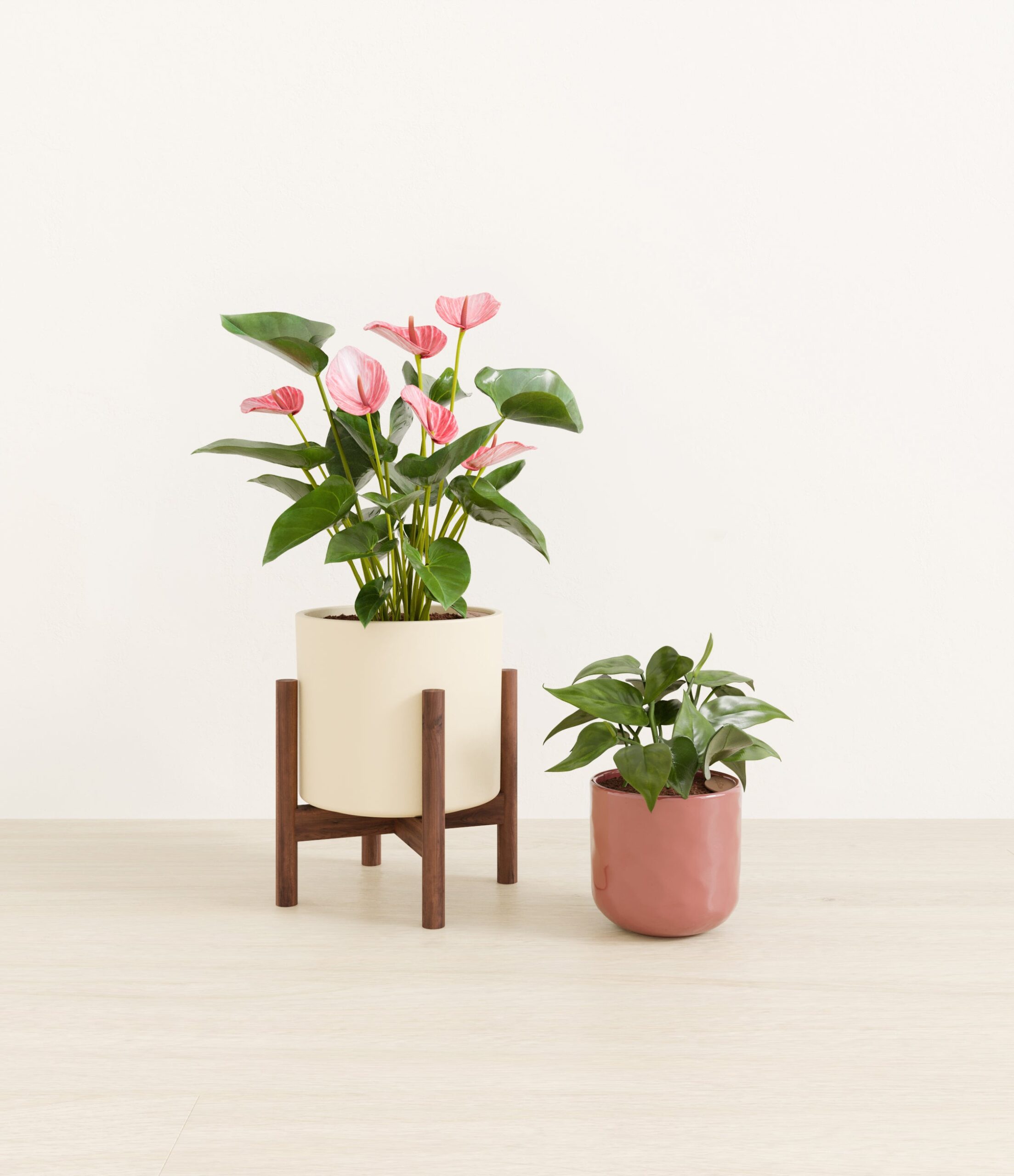 Vibrant_Valentines_USA_studio_sub_blush_ivory_palette_1_stands.jpg