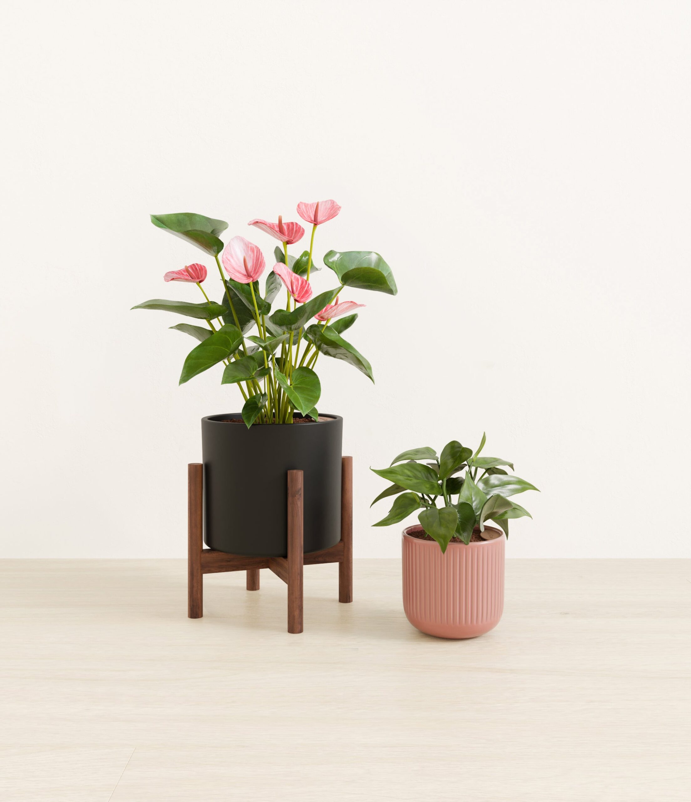 Vibrant_Valentines_USA_studio_sub_midnight_rose_palette_1_stands.jpg