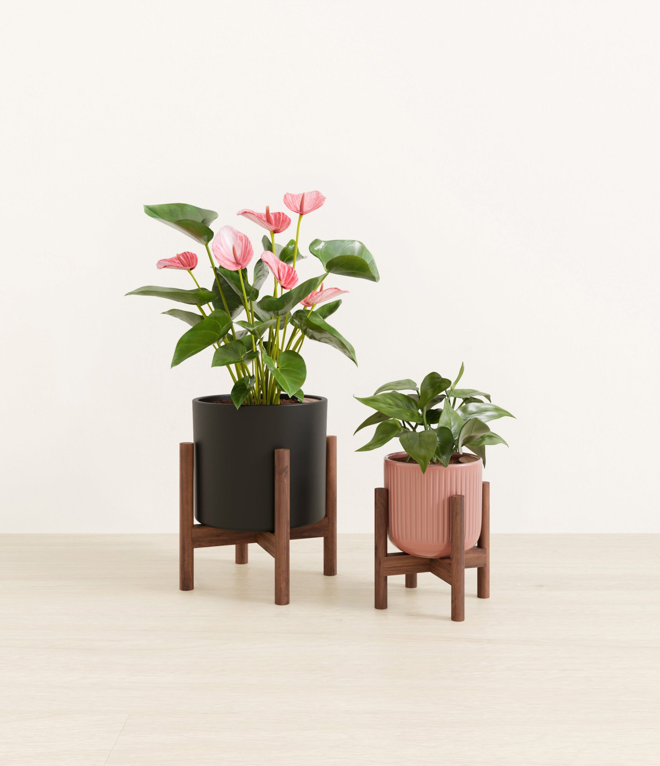Vibrant_Valentines_USA_studio_sub_midnight_rose_palette_2_stands.jpg