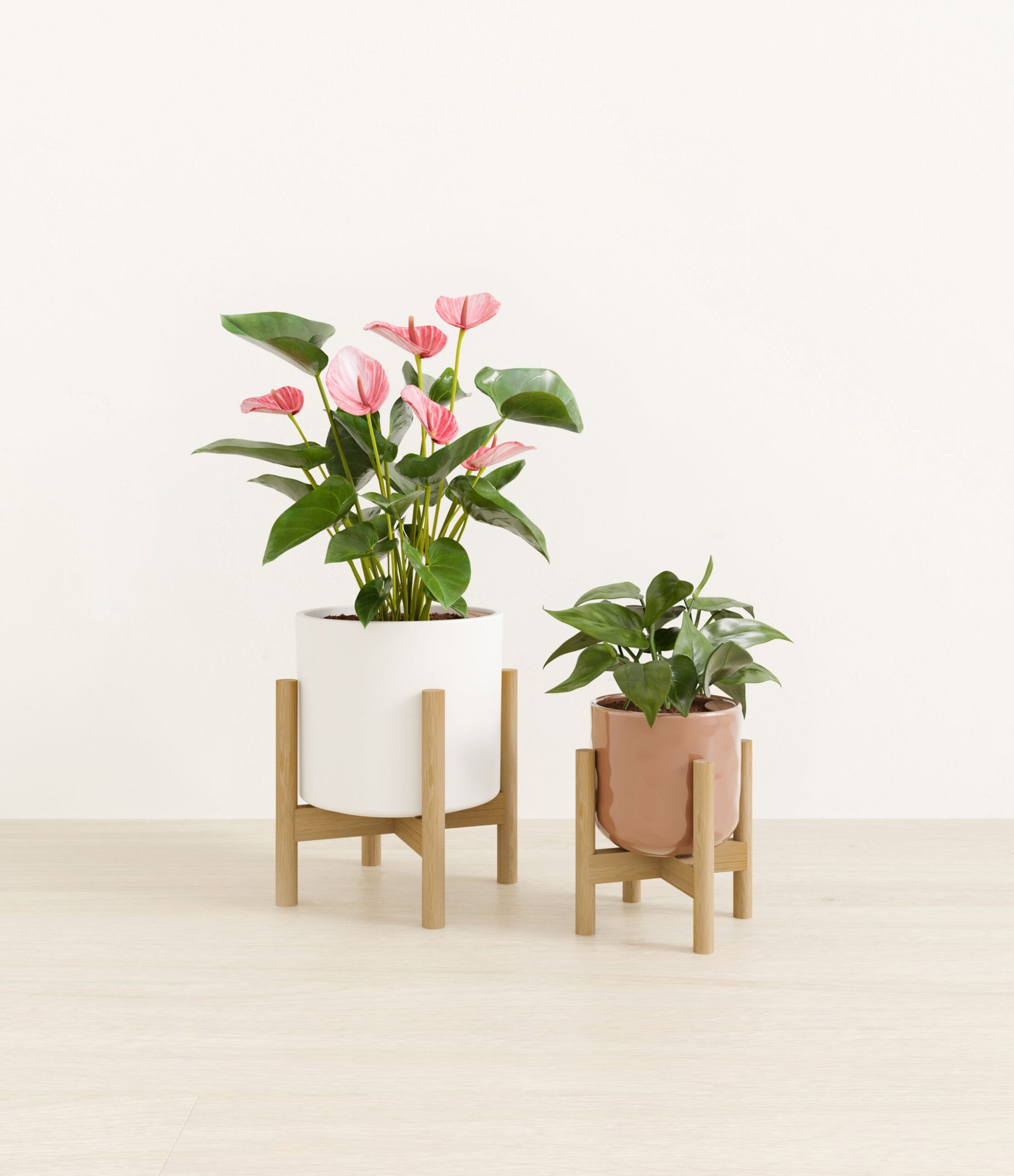 Vibrant_Valentines_USA_studio_sub_peach_frost_palette_2_stands.jpg