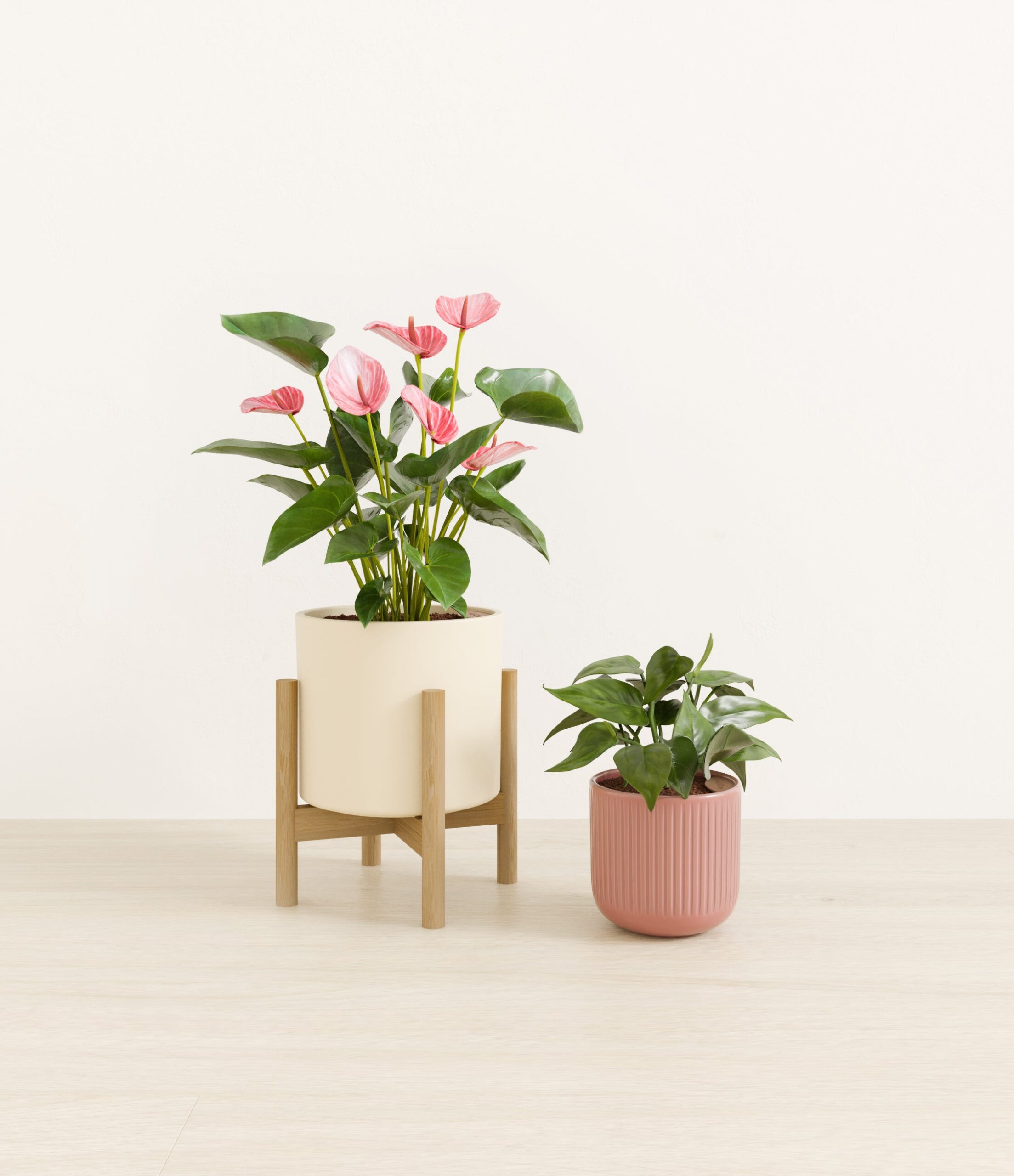 Vibrant_Valentines_USA_studio_sub_rose_linen_palette_1_stands.jpg