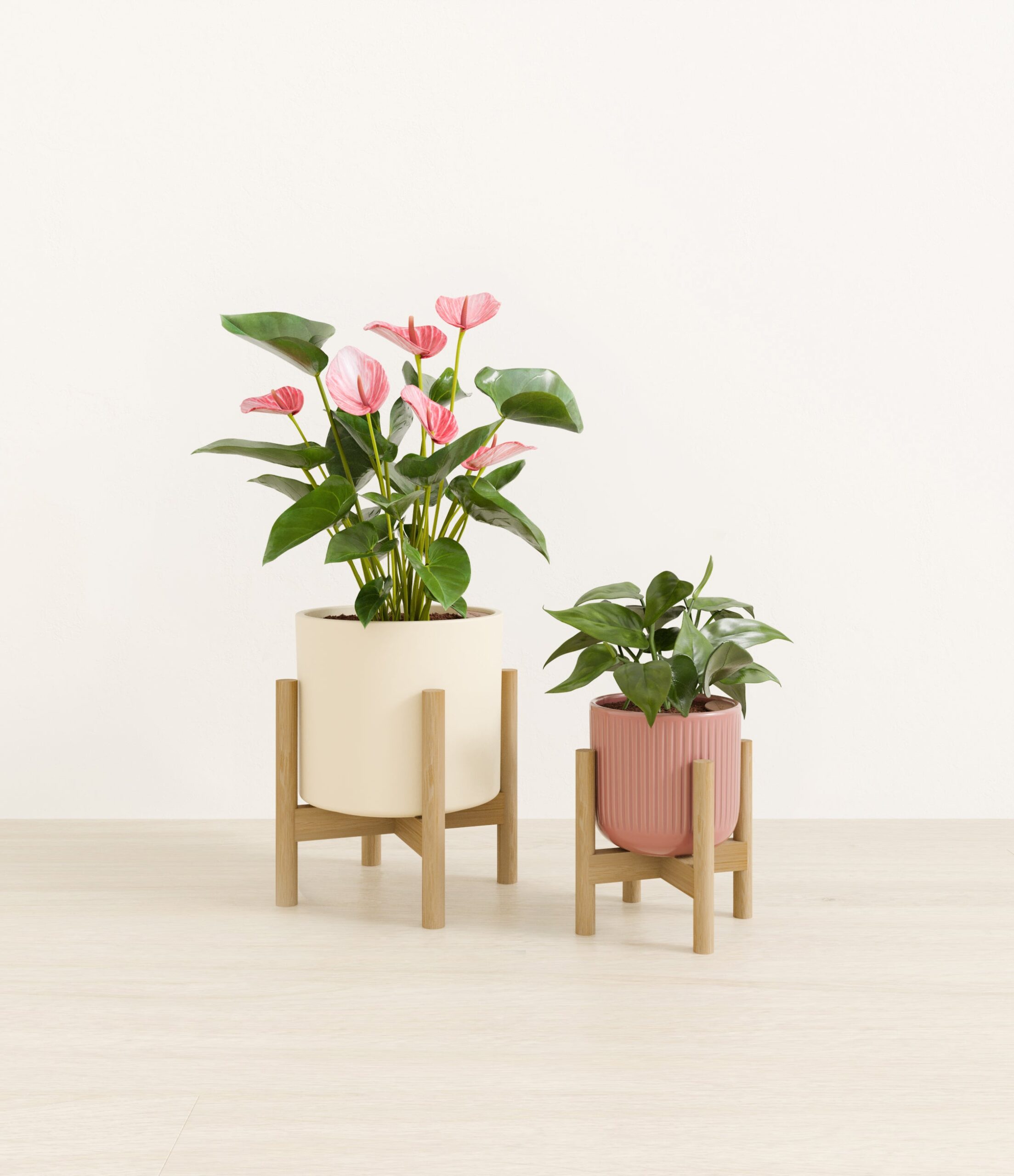 Vibrant_Valentines_USA_studio_sub_rose_linen_palette_2_stands.jpg