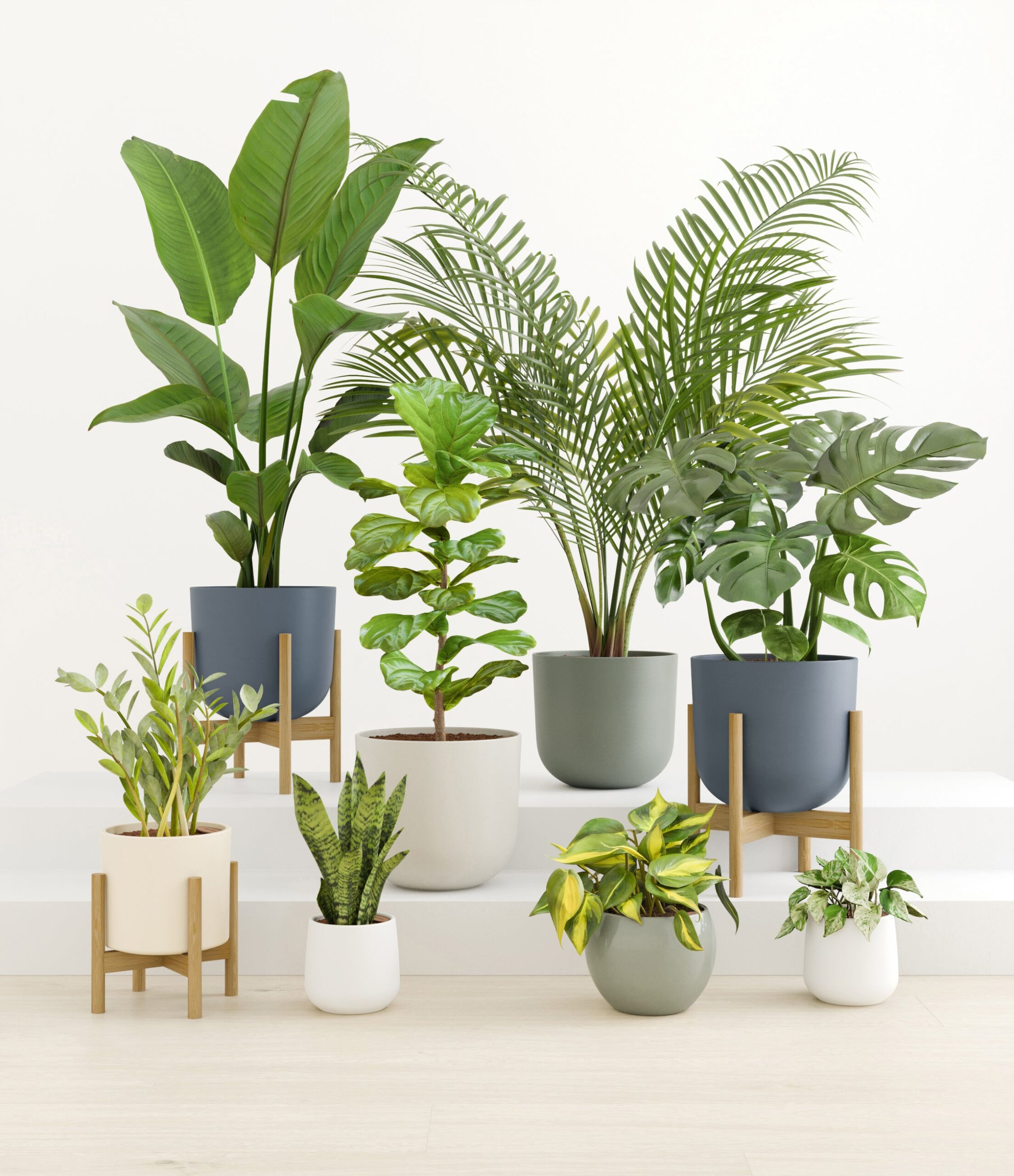 Woodsy_studio_new_palette_3_stands.jpg