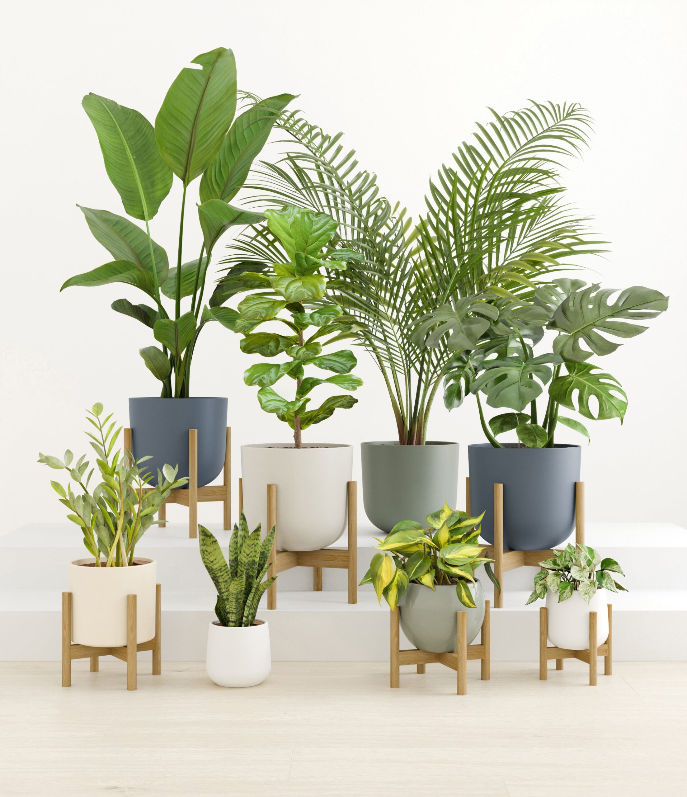 Woodsy_studio_new_palette_6_stands.jpg