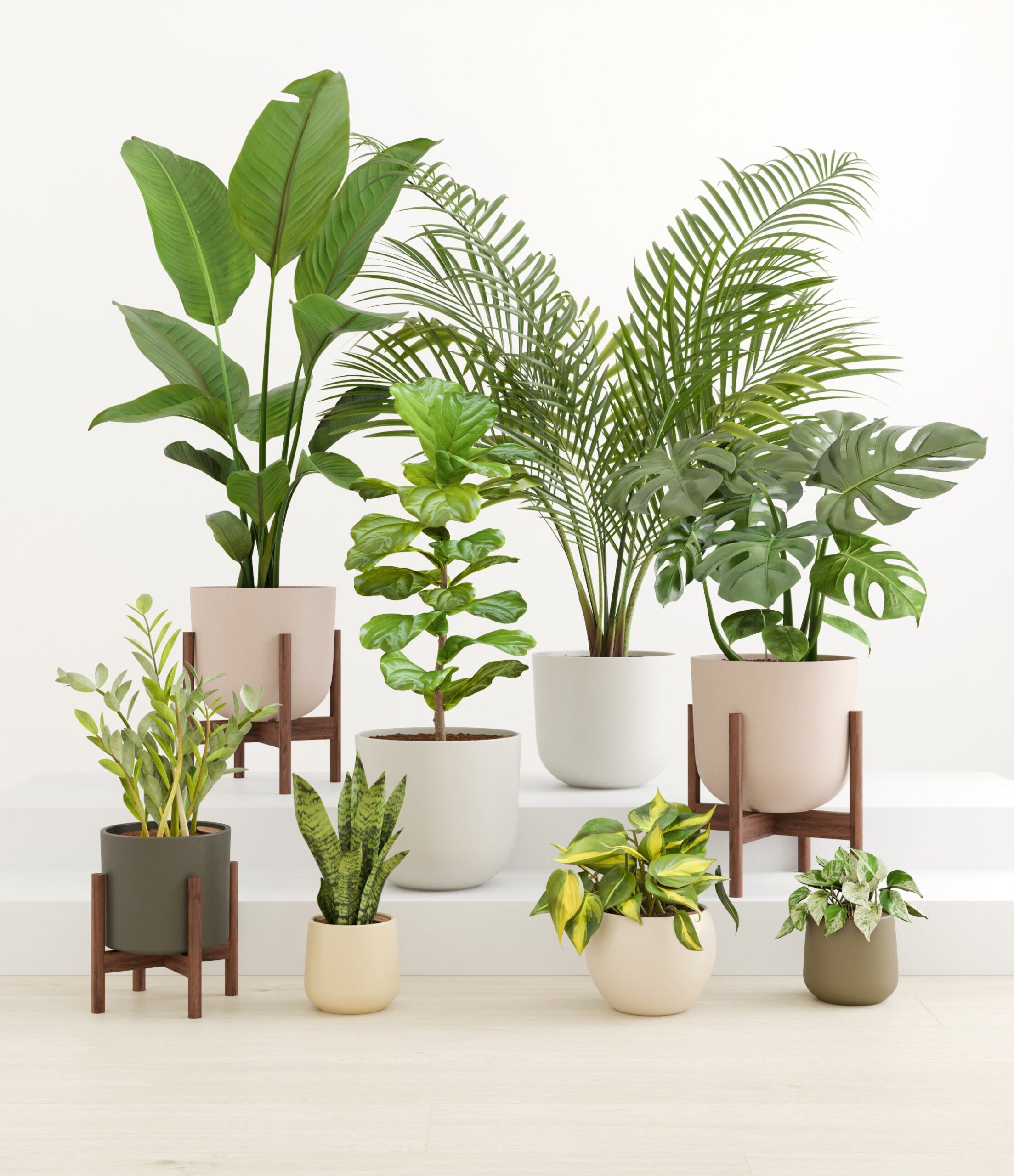 Woodsy_woodland_palette_3_stands_59108c17-d376-42d3-89f8-cad02b31f788.jpg