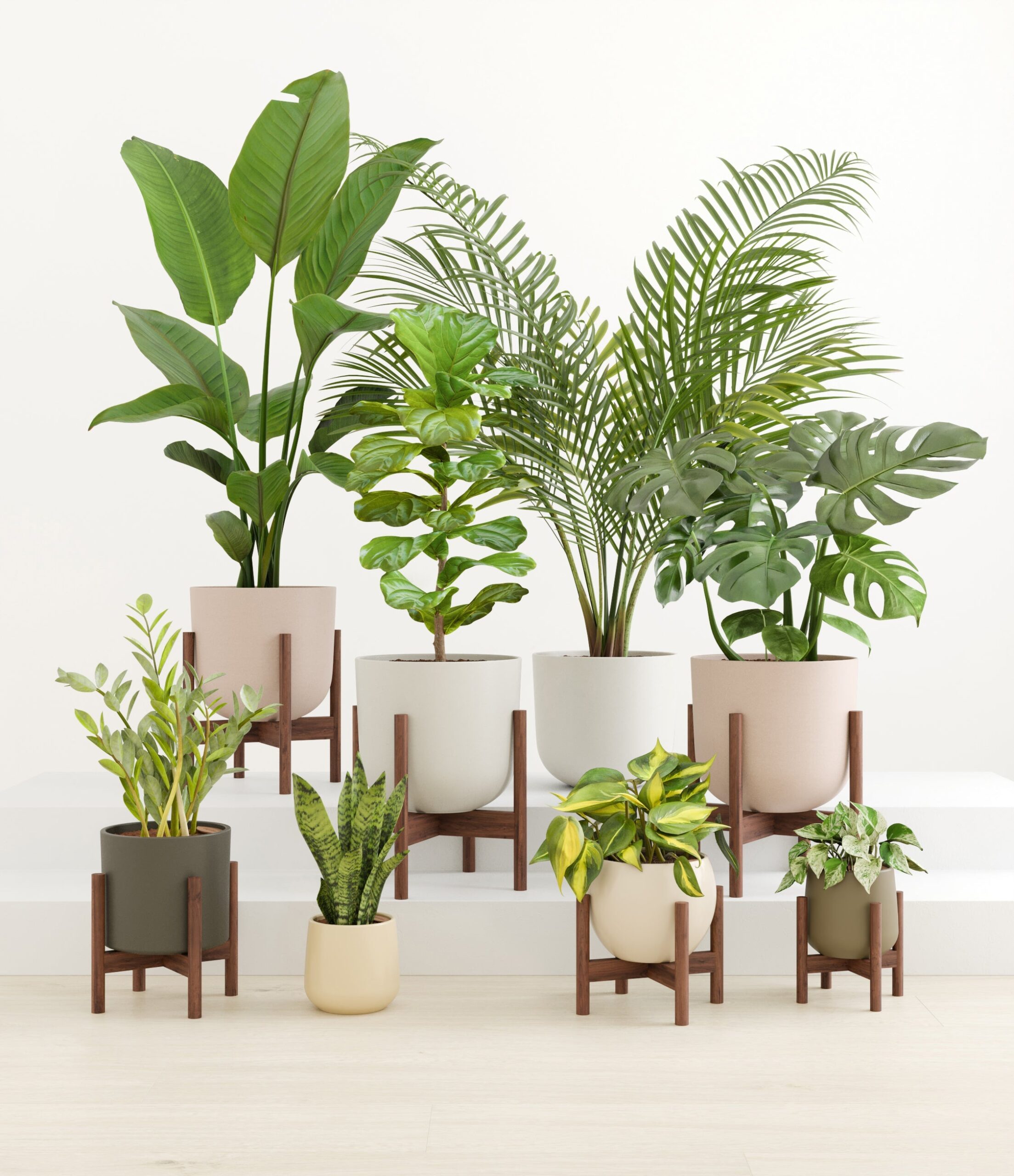 Woodsy_woodland_palette_6_stands_c7710d6c-e801-4adb-93cb-0979395d17b1.jpg