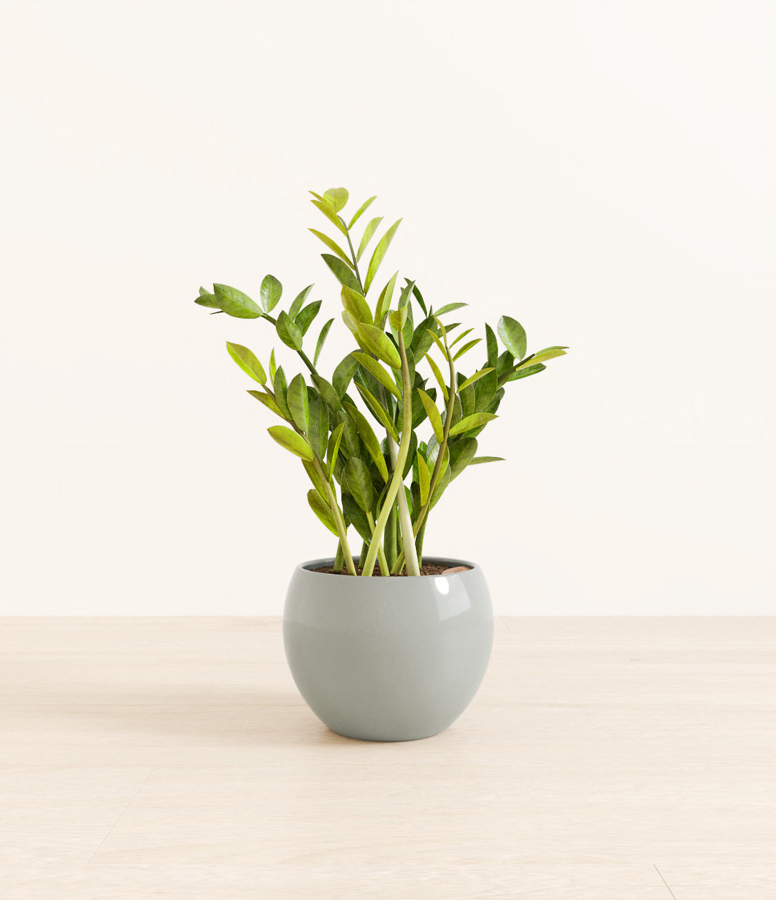 ZZ_plant_monet_ocean.jpg