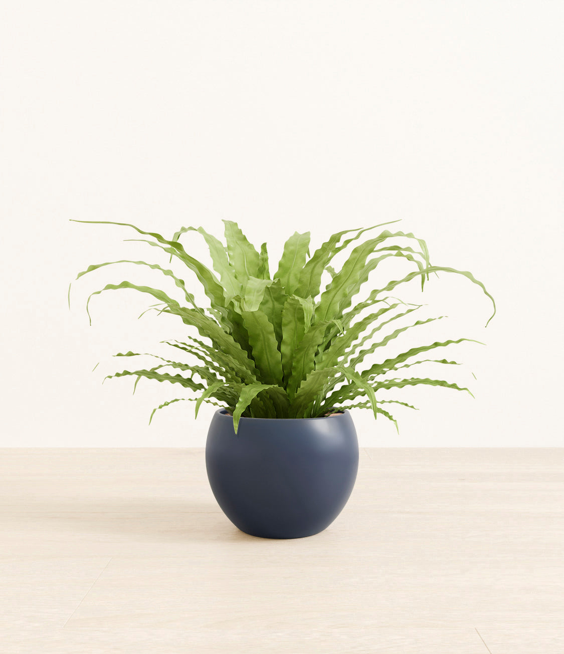 birds_nest_fern_monet_deep_navy.jpg