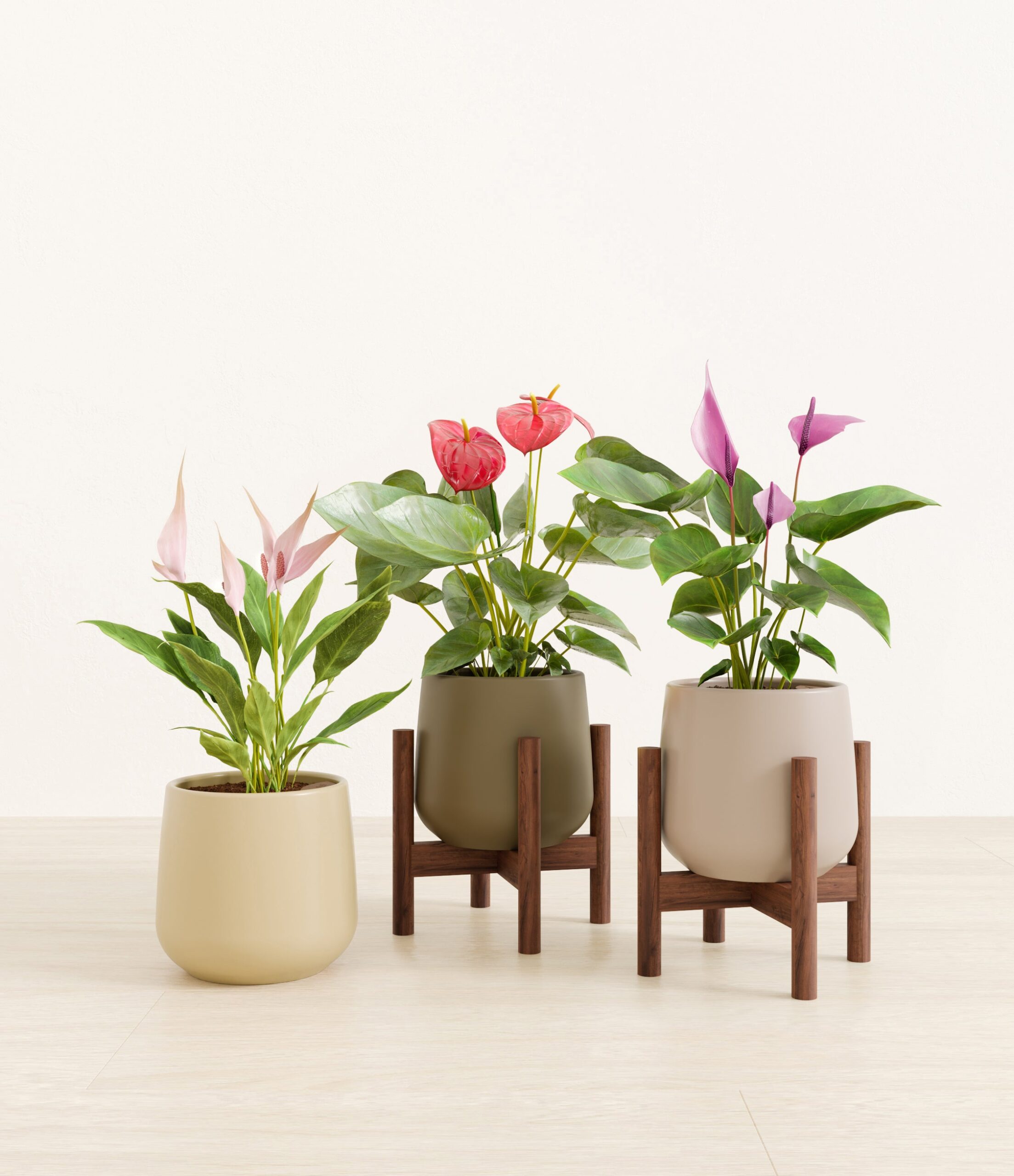 blooming_trifecta_studio_woodland_2_stand.jpg