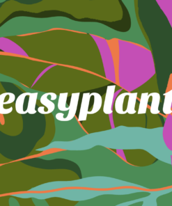 Easyplant gift card