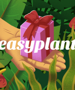 Easyplant gift card