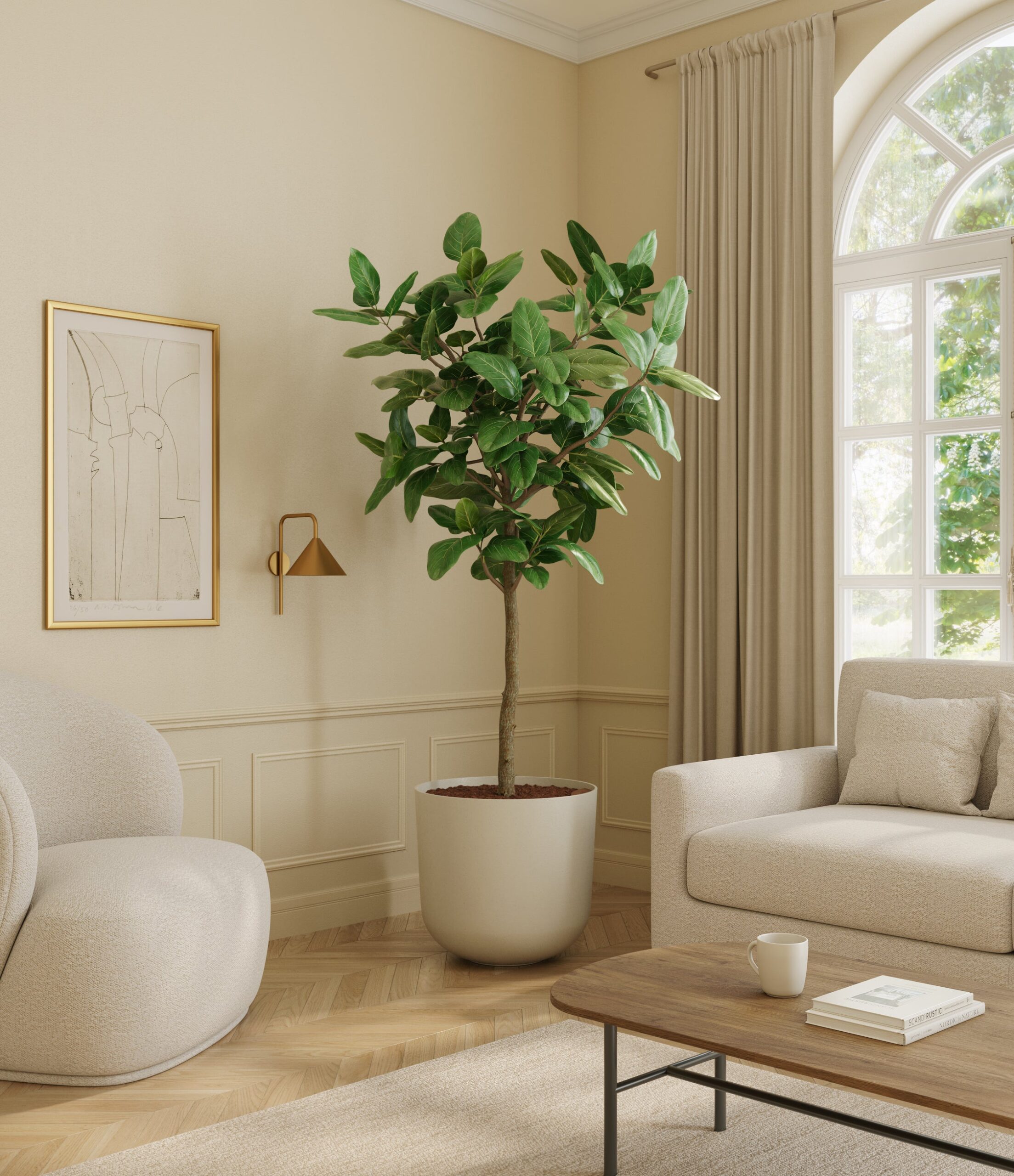 home_601568_ficus_audrey_bamboo.jpg