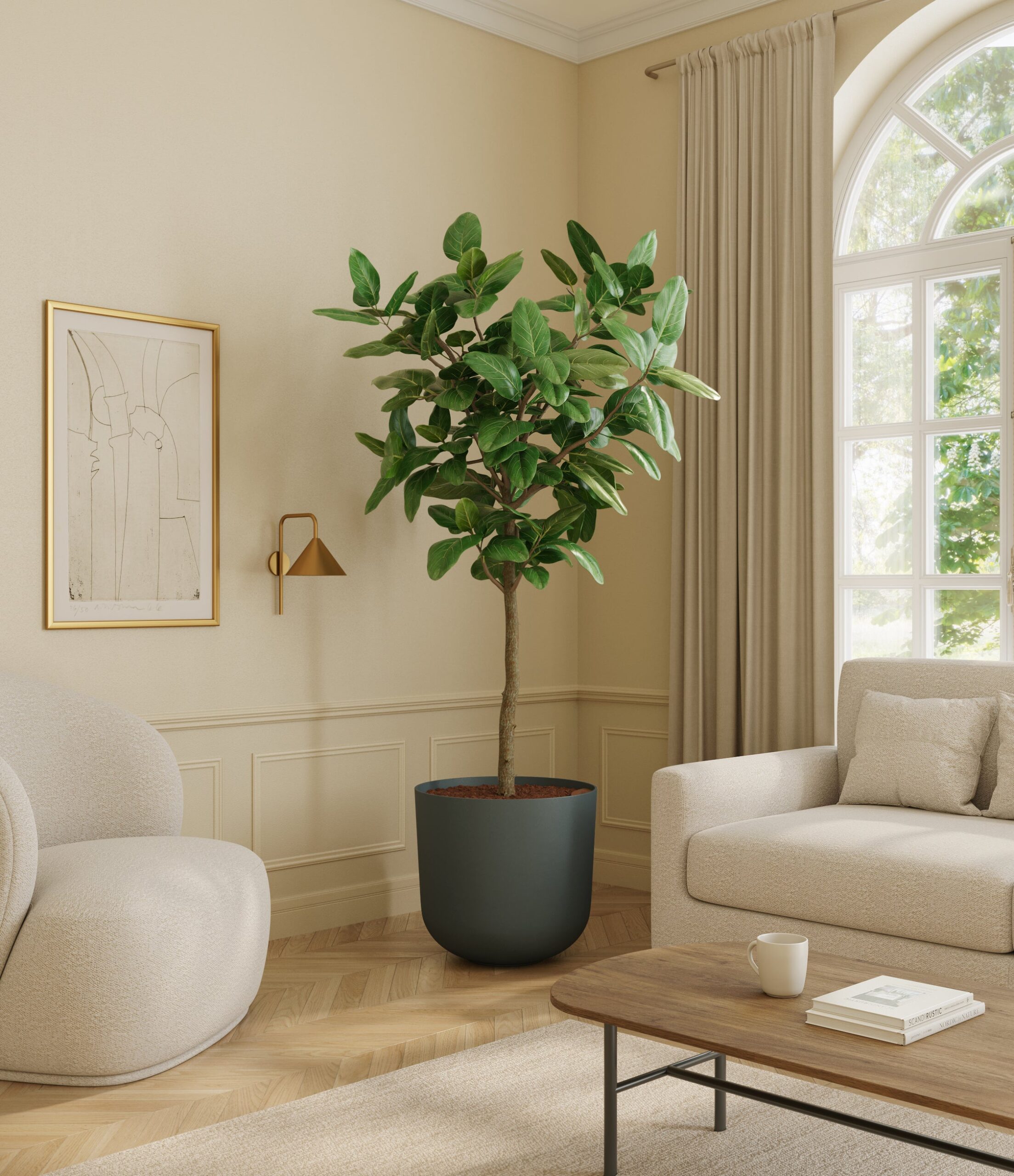 home_601568_ficus_audrey_iron_grey.jpg