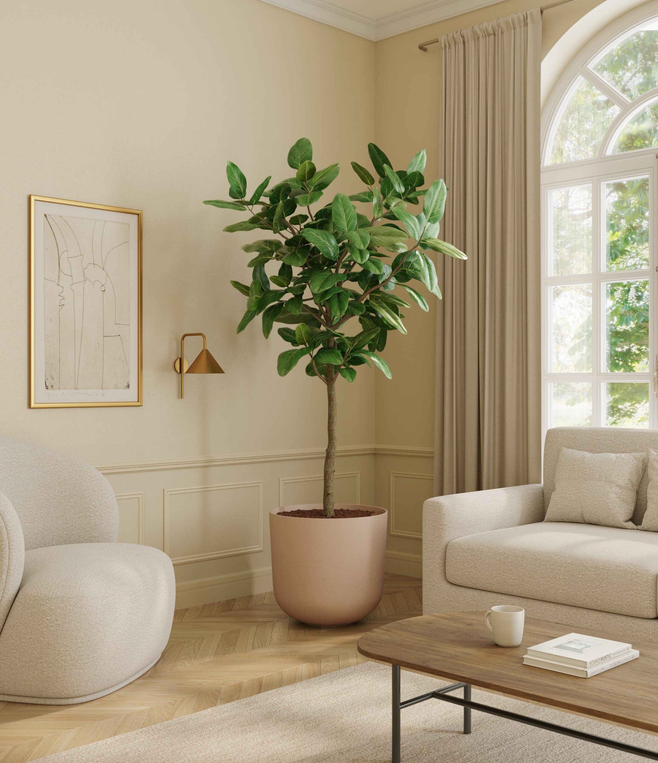 home_601568_ficus_audrey_sandy_pink.jpg
