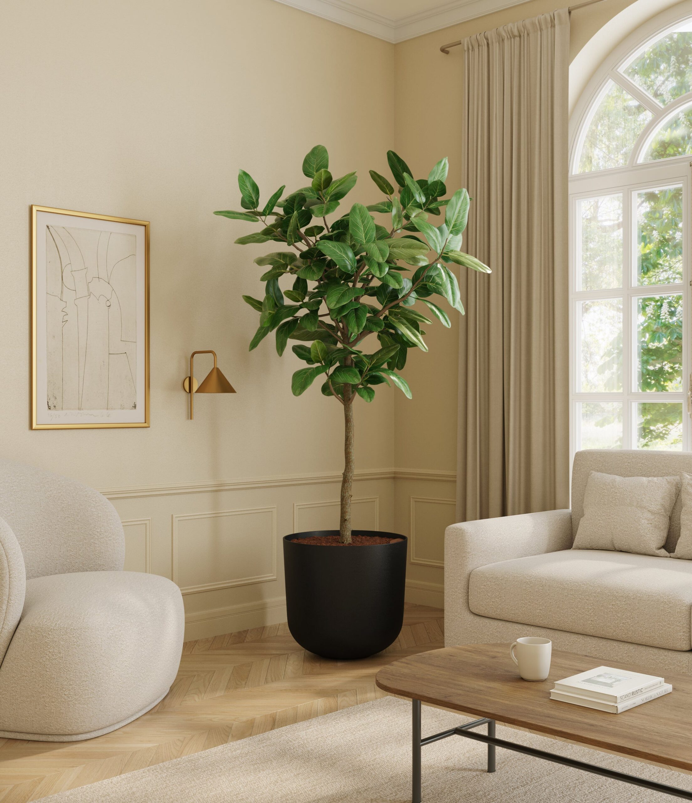 home_601568_ficus_audrey_stone_black.jpg