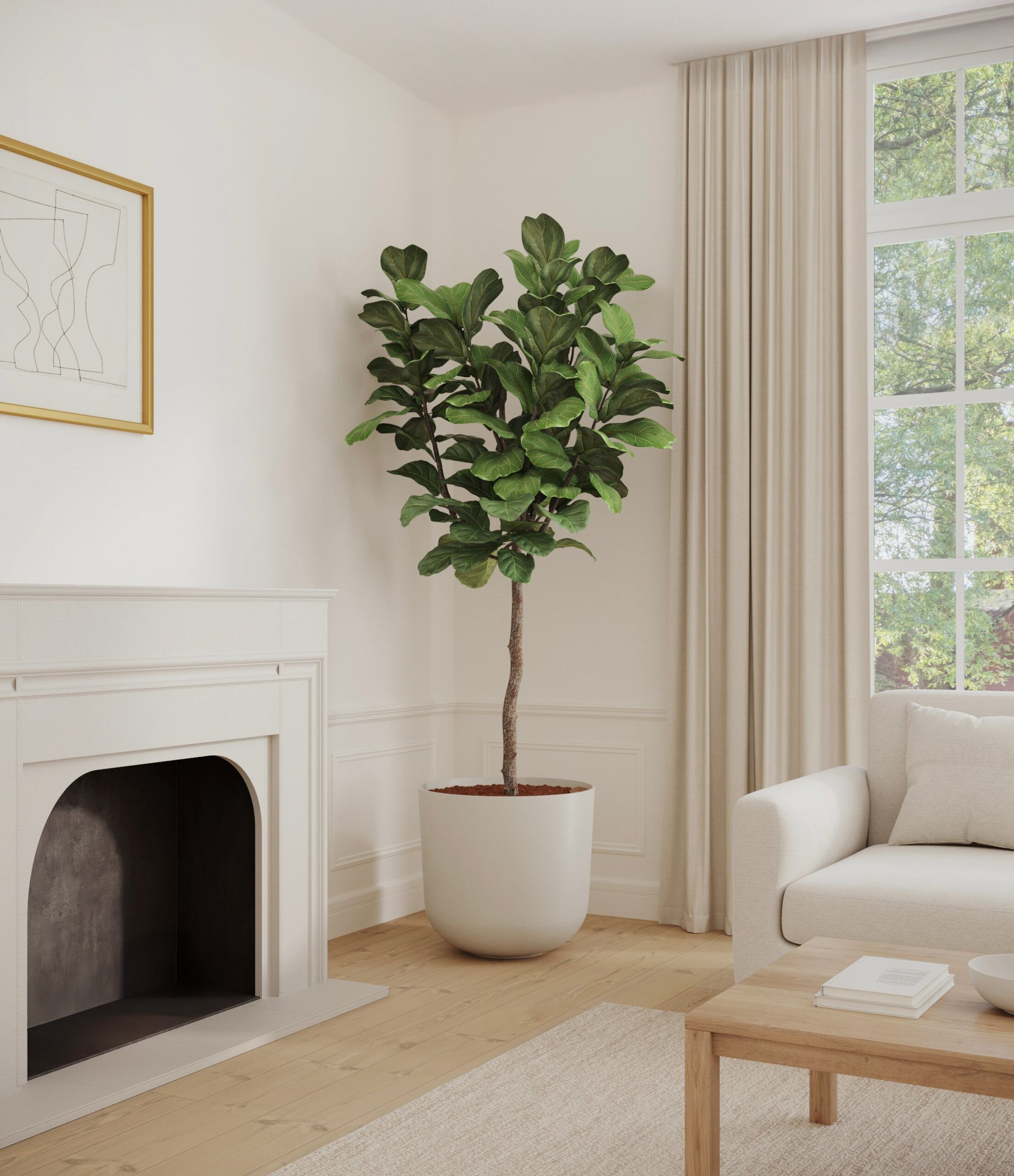 home_601568_fiddle_leaf_fig_bamboo_copy_2fb20351-e271-425a-9aa0-e490de5960a8.jpg