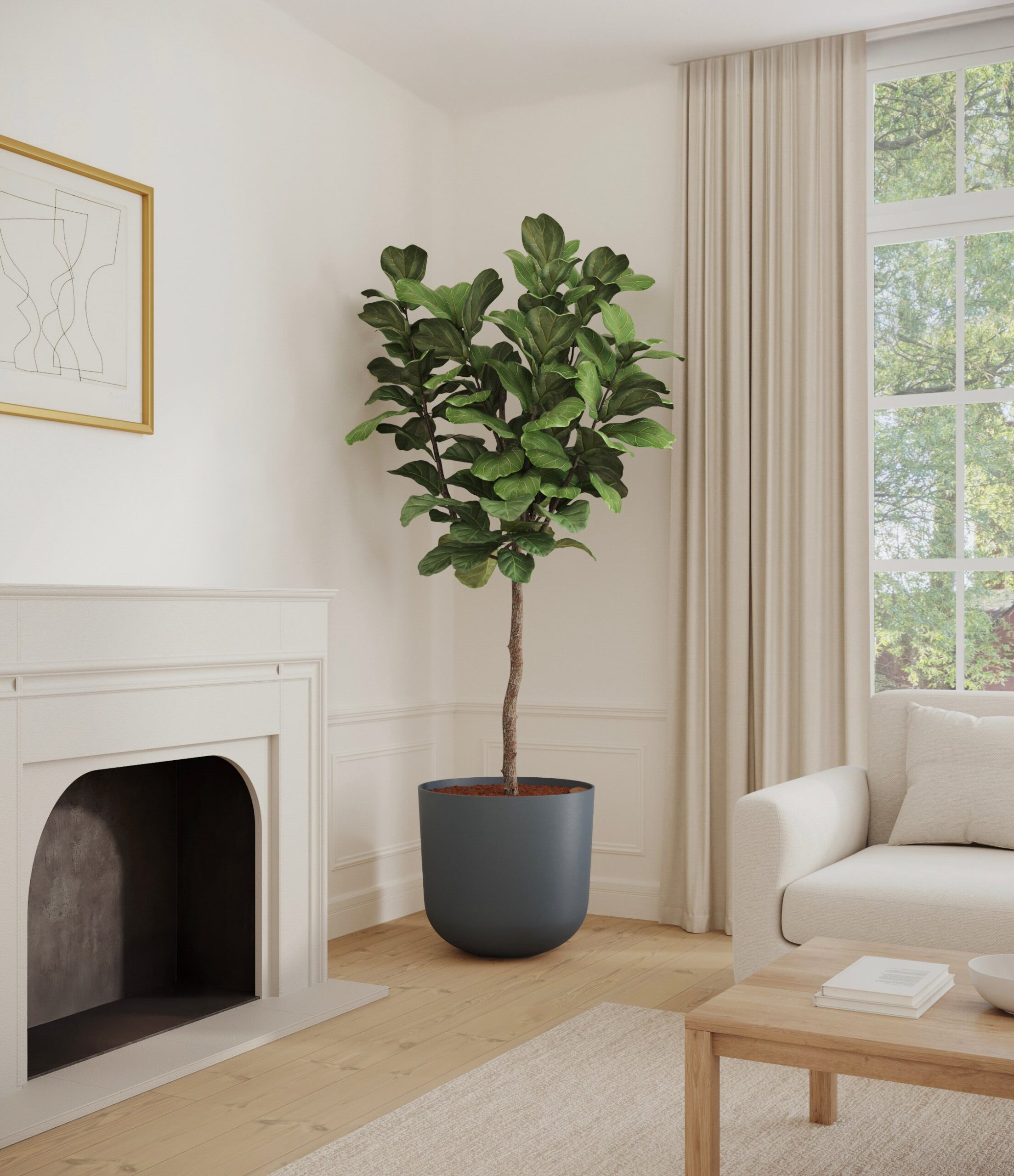home_601568_fiddle_leaf_fig_iron_grey_copy_cc1819a1-d235-46f8-aef0-7a302f883925.jpg