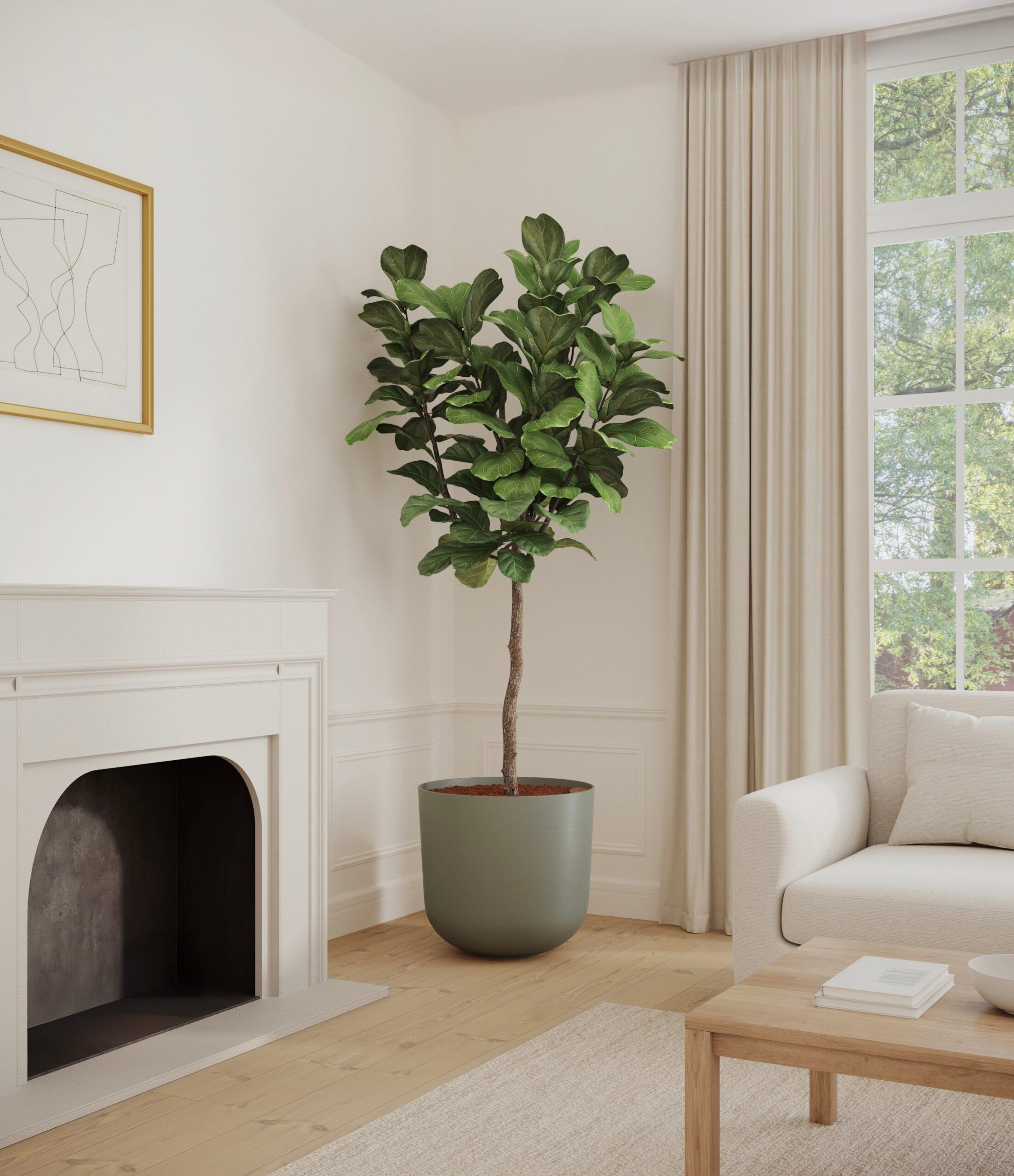 home_601568_fiddle_leaf_fig_sage_green_copy_ab80546f-38dc-4529-9b09-84f6bdbe2633.jpg