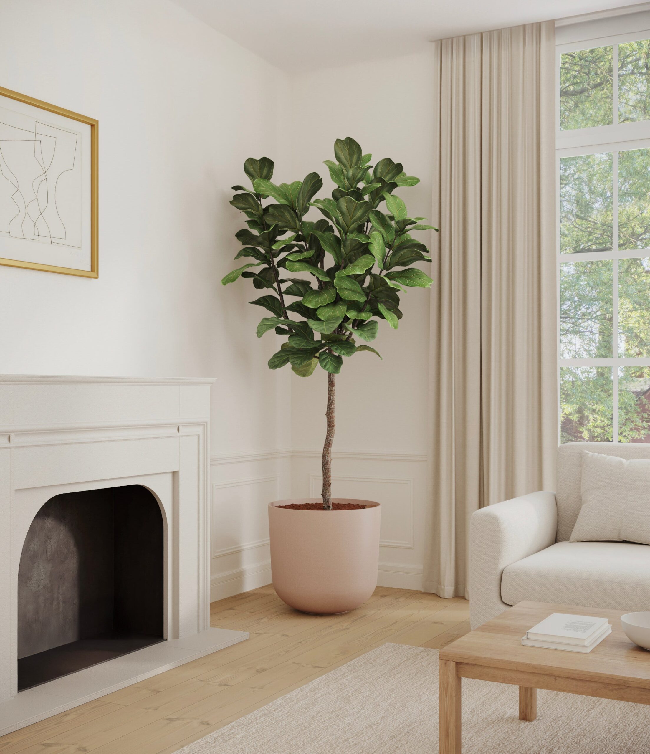 home_601568_fiddle_leaf_fig_sandy_pink_copy_1b2b8ec6-29e7-41c4-976b-7e6b56279e02.jpg