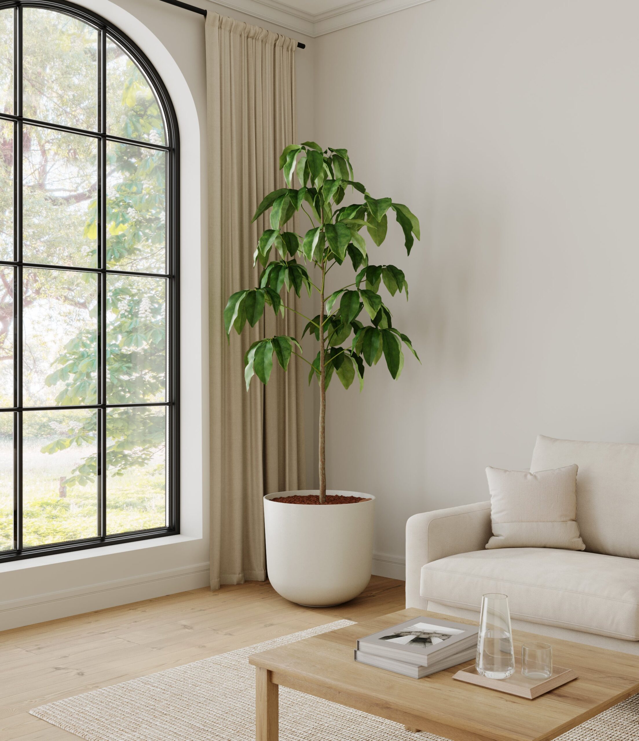 home_601568_schefflera_amate_bamboo.jpg