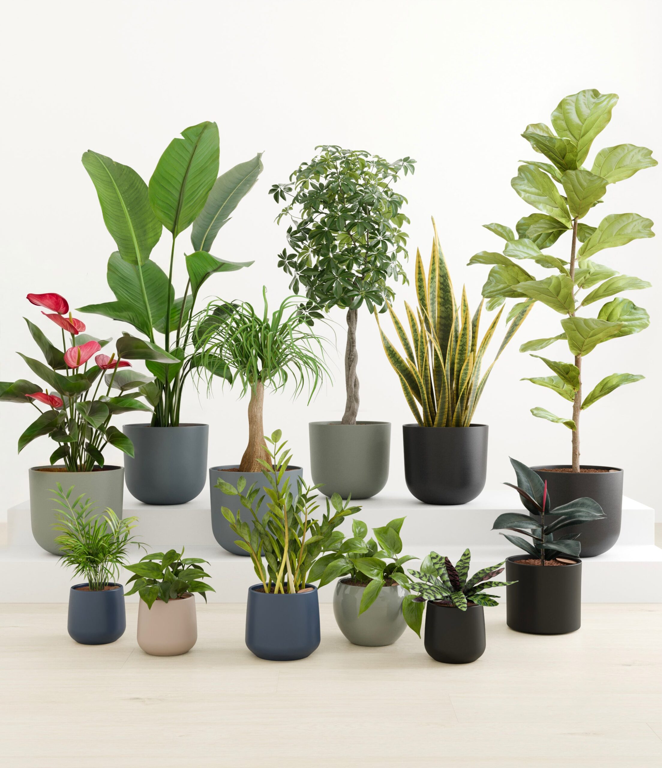 jaw_dropping_jungle_deep_forest_studio.jpg