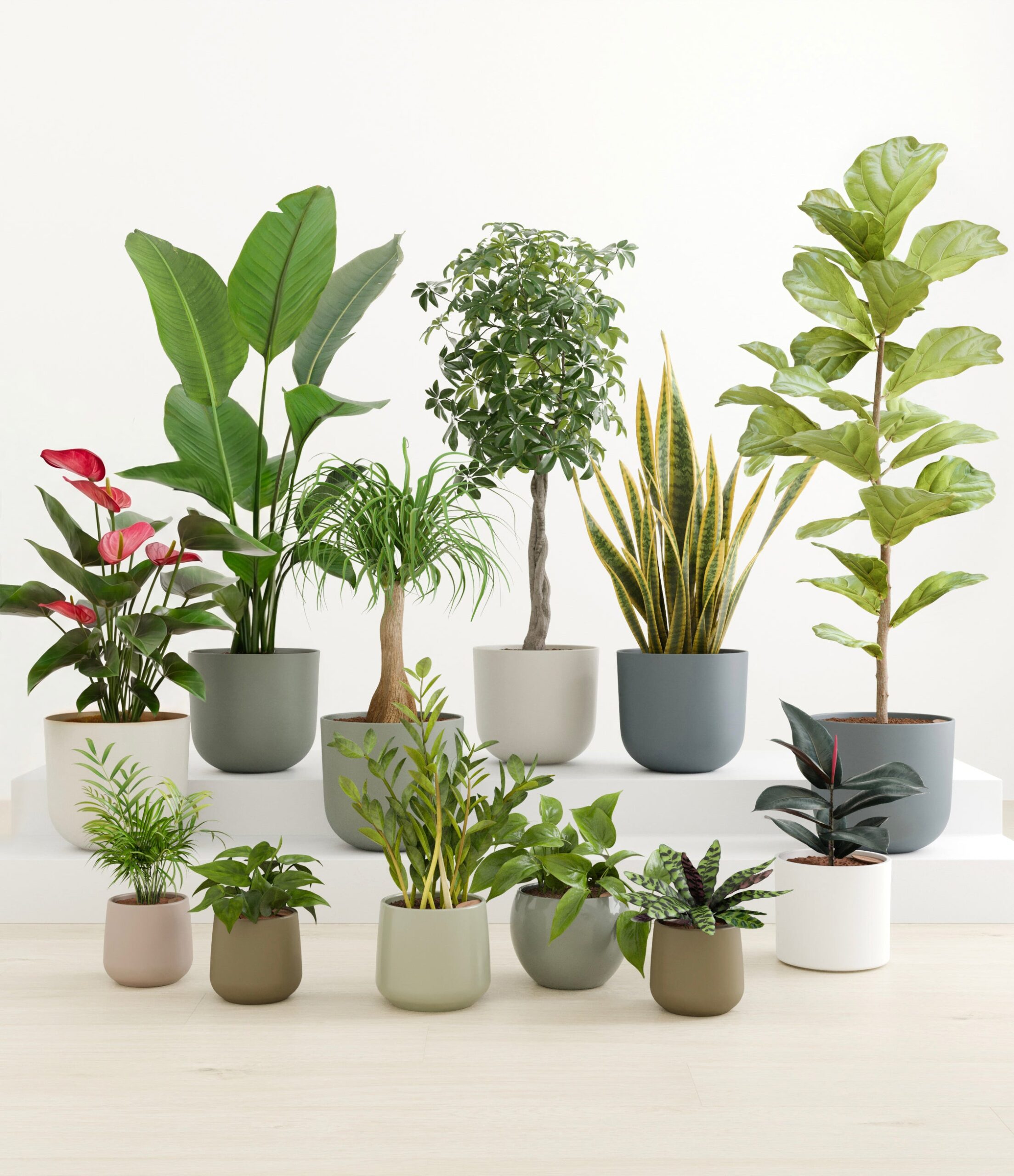 jaw_dropping_jungle_earthy_studio.jpg