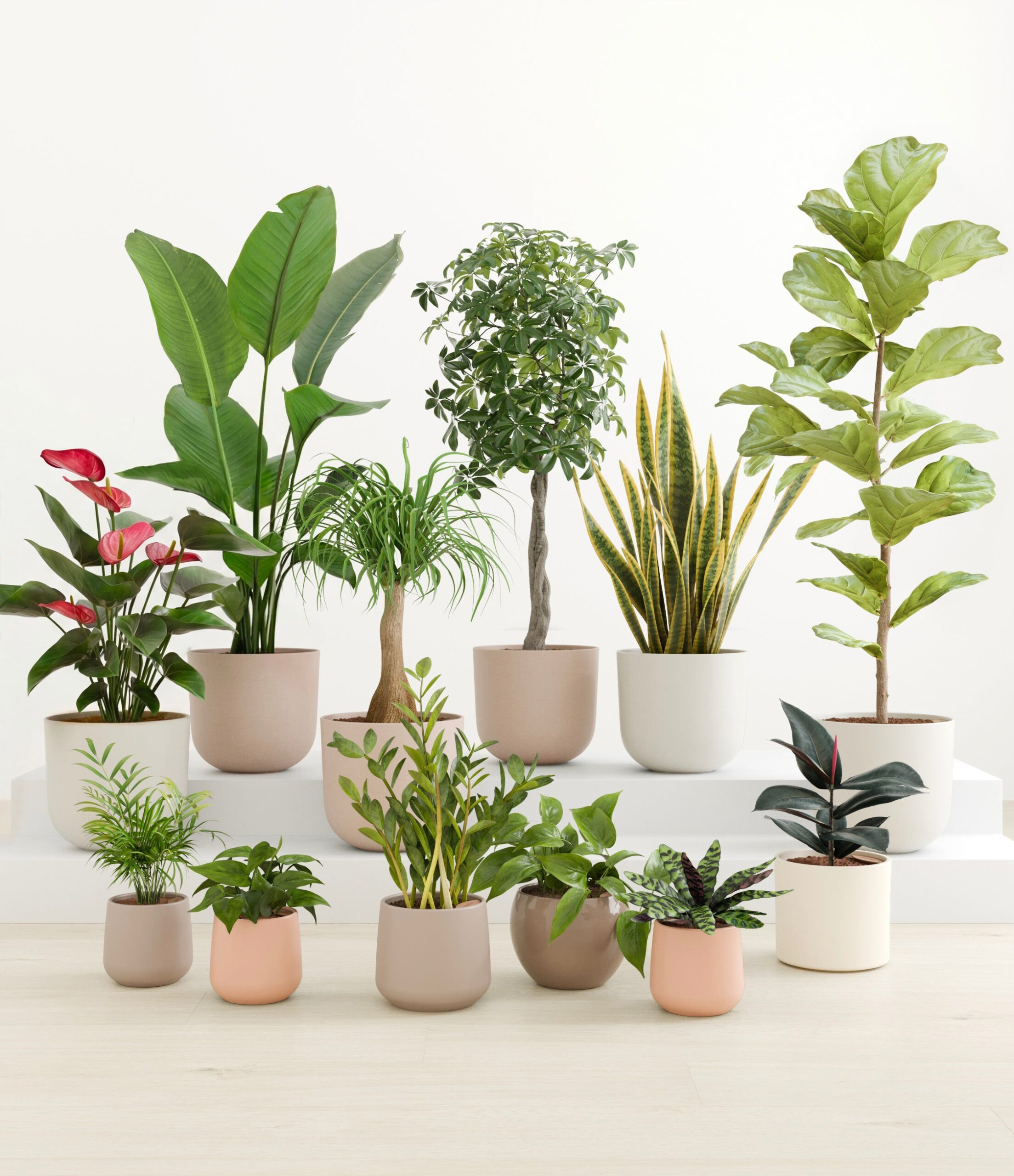 jaw_dropping_jungle_sandy_studio.jpg