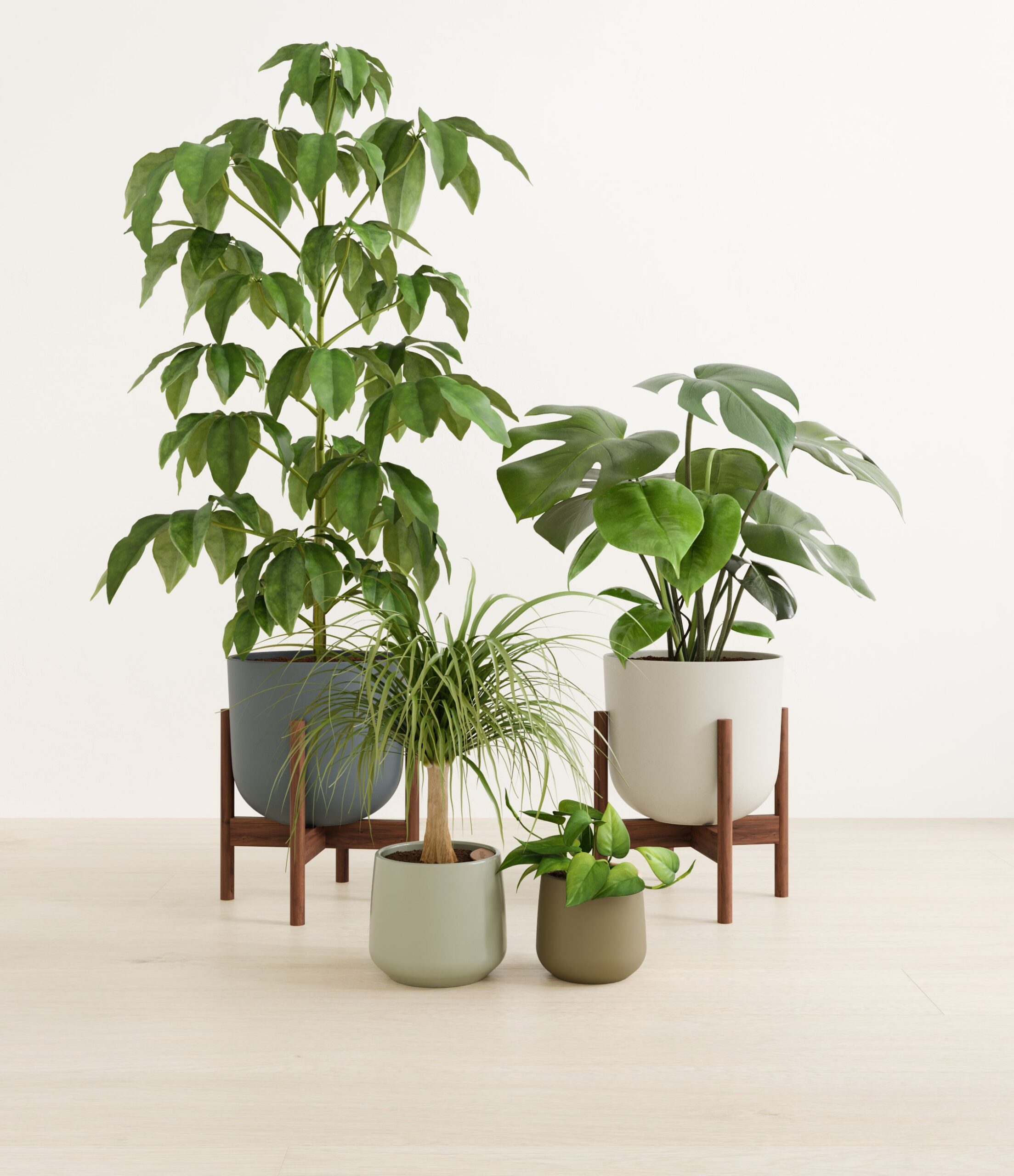 jungle_jam_studio_earthy_stands.jpg