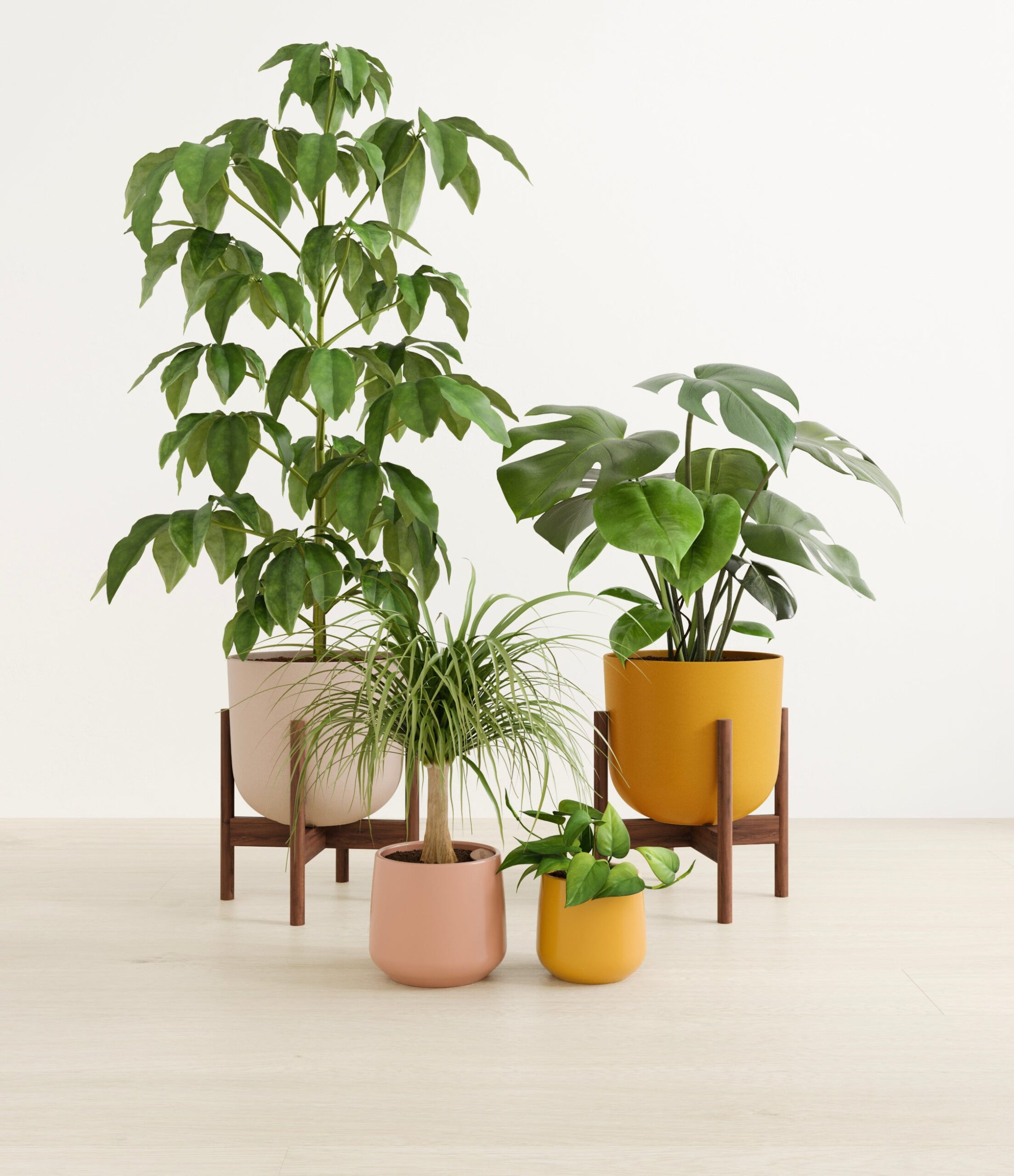 jungle_jam_studio_evening_sky_stands_copy.jpg