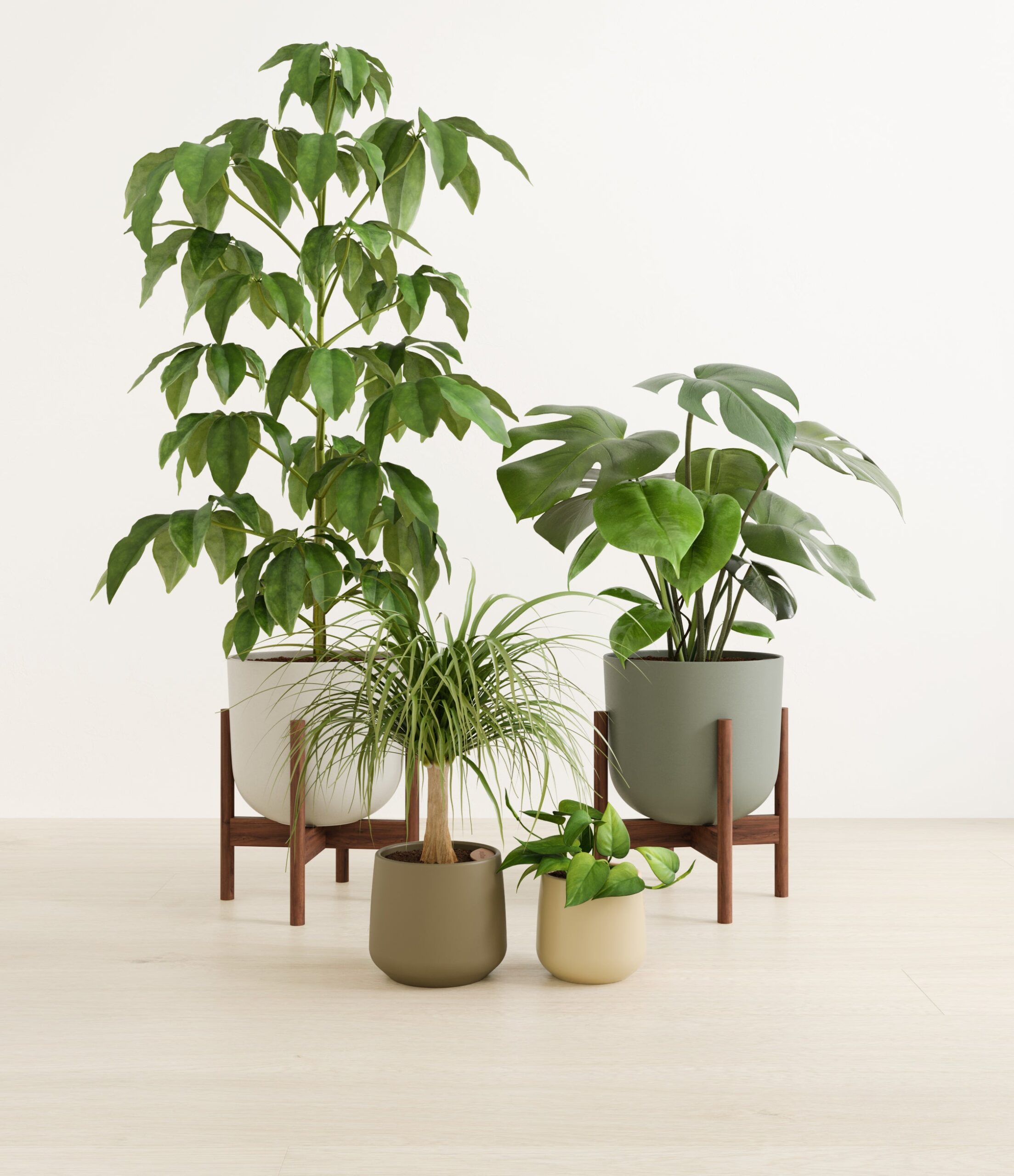 jungle_jam_studio_woodland_stands.jpg